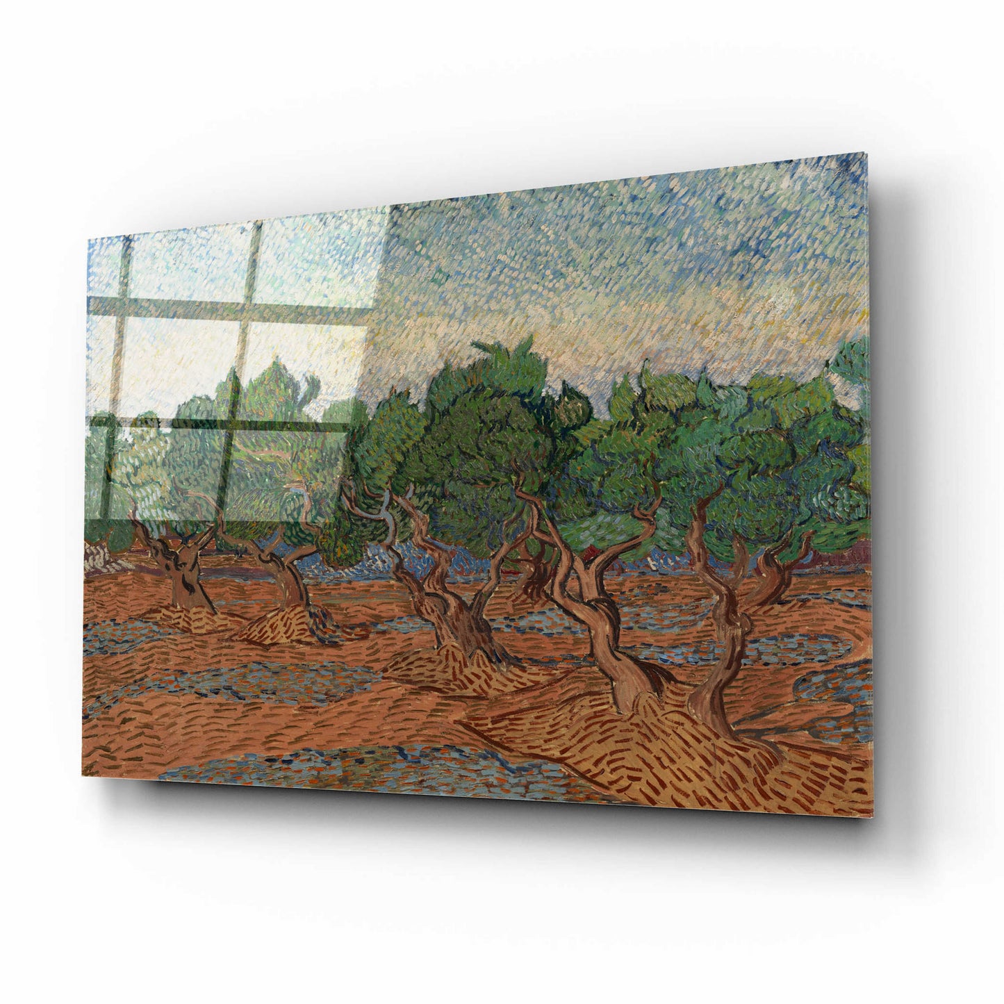 Epic Art 'Olive Grove II' by Vincent Van Gogh, Acrylic Glass Wall Art,16x12