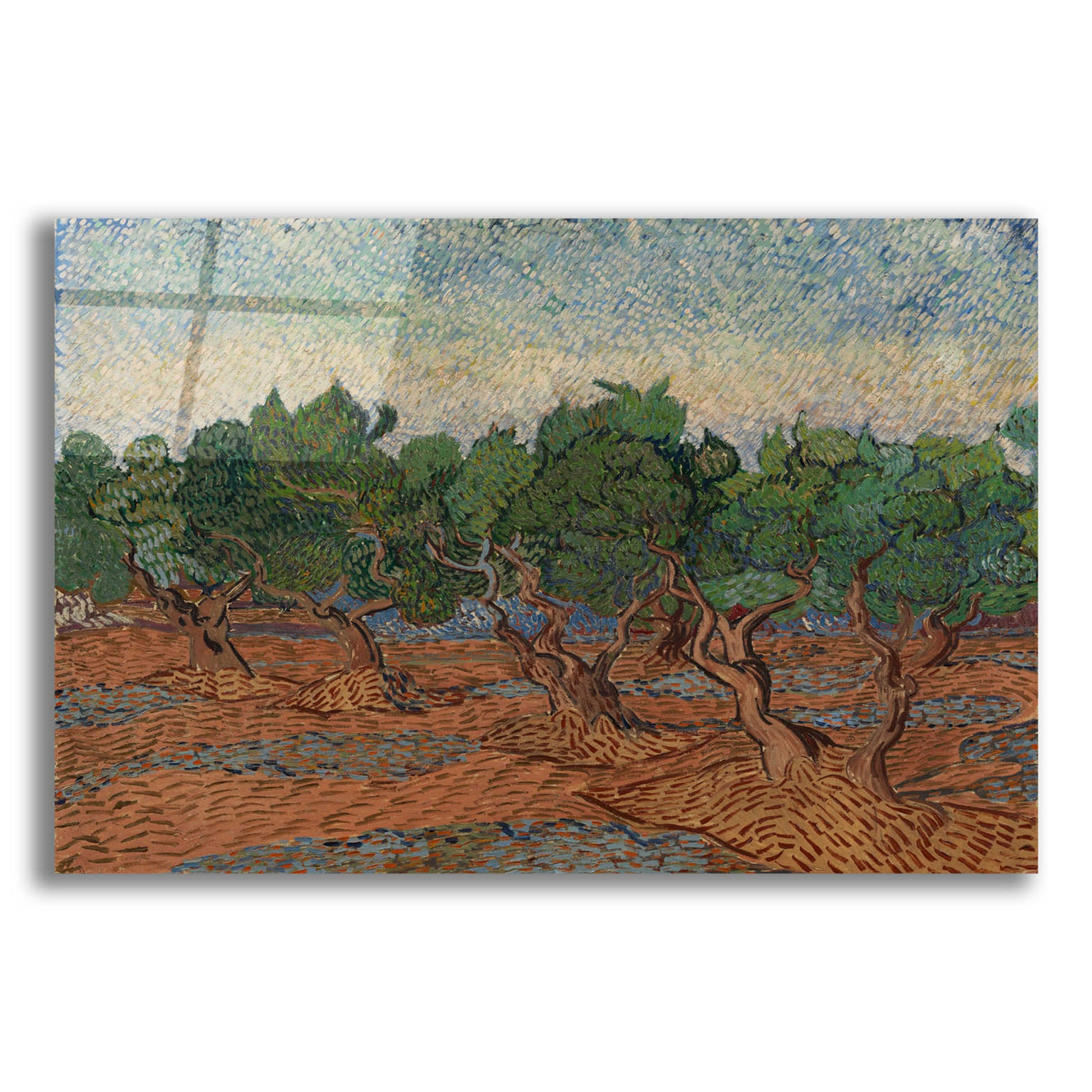 Epic Art 'Olive Grove II' by Vincent Van Gogh, Acrylic Glass Wall Art,16x12