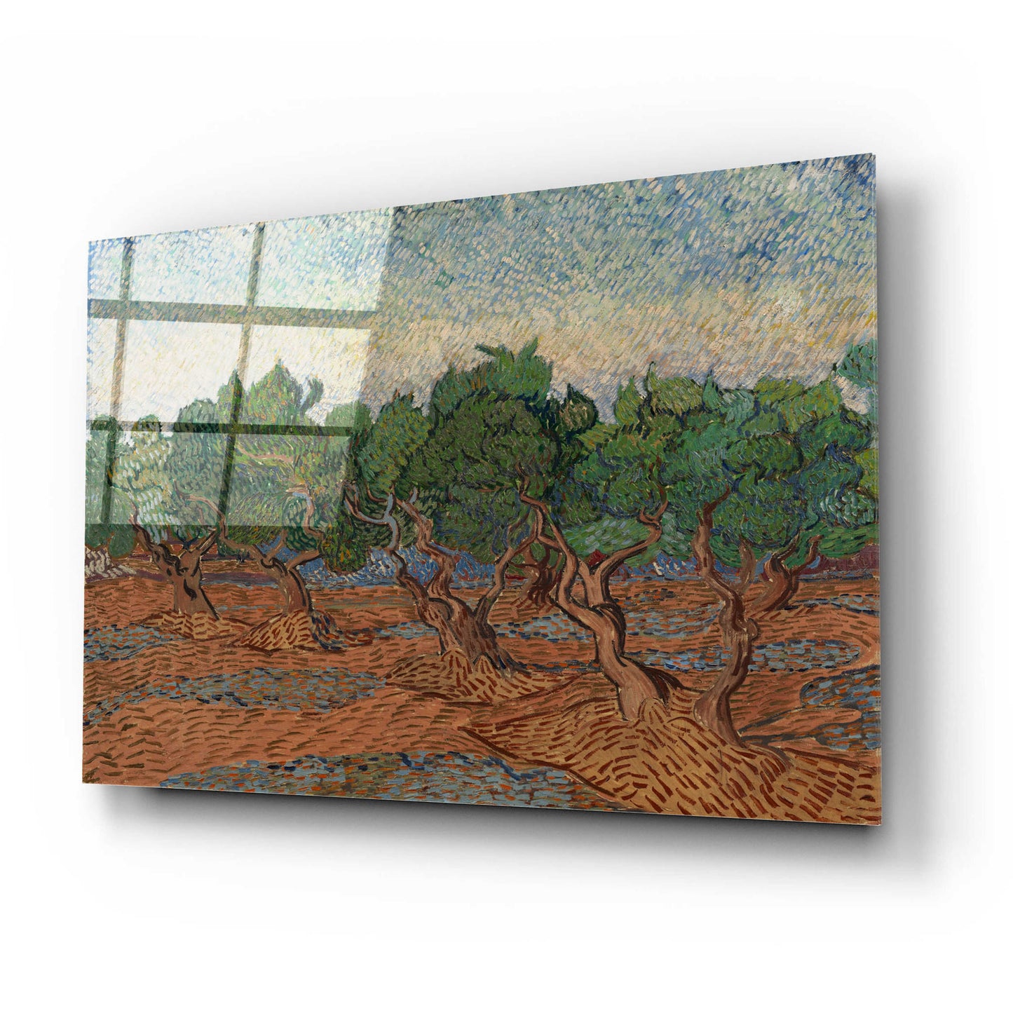 Epic Art 'Olive Grove II' by Vincent Van Gogh, Acrylic Glass Wall Art,24x16