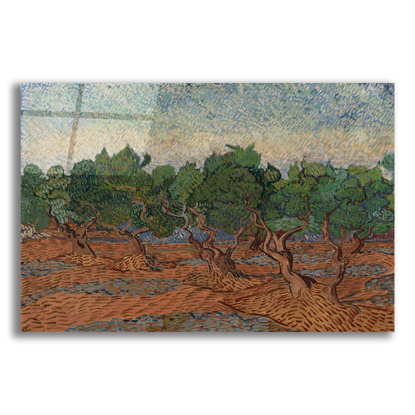 Epic Art 'Olive Grove II' by Vincent Van Gogh, Acrylic Glass Wall Art,24x16