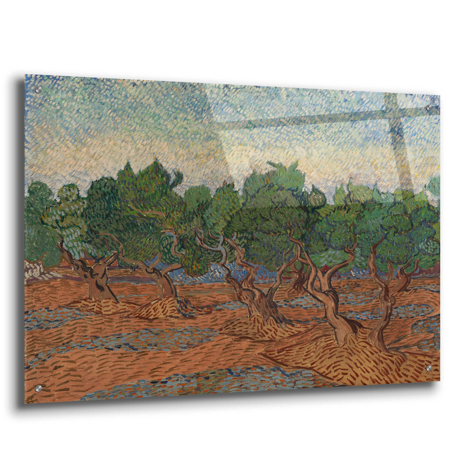 Epic Art 'Olive Grove II' by Vincent Van Gogh, Acrylic Glass Wall Art,36x24