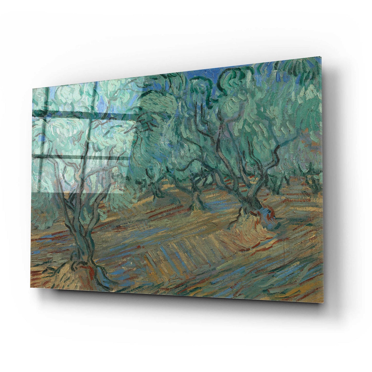 Epic Art 'Olive Grove' by Vincent Van Gogh, Acrylic Glass Wall Art,24x16