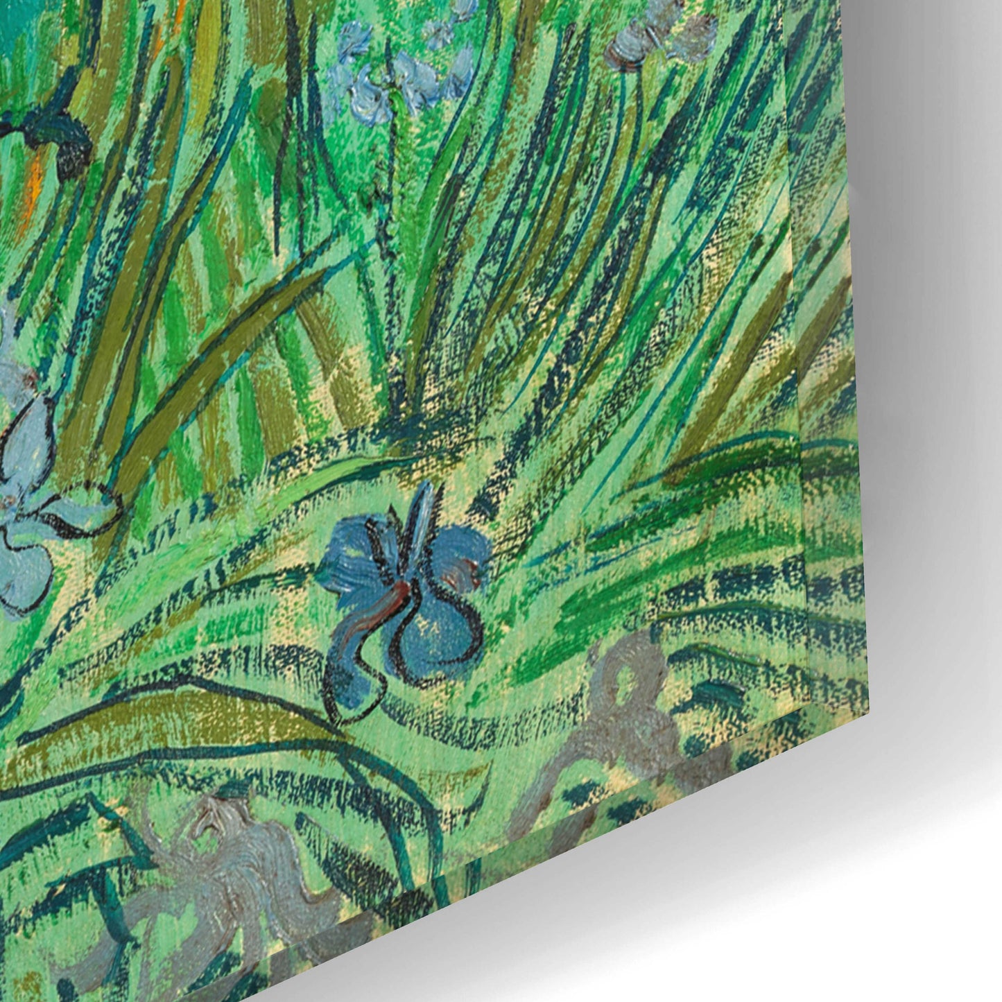 Epic Art 'Field With Irises Near Arles' by Vincent Van Gogh, Acrylic Glass Wall Art,16x12