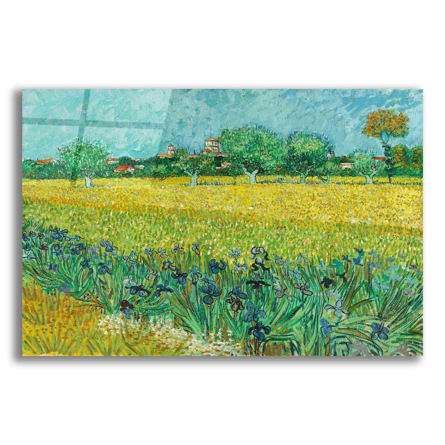 Epic Art 'Field With Irises Near Arles' by Vincent Van Gogh, Acrylic Glass Wall Art,24x16
