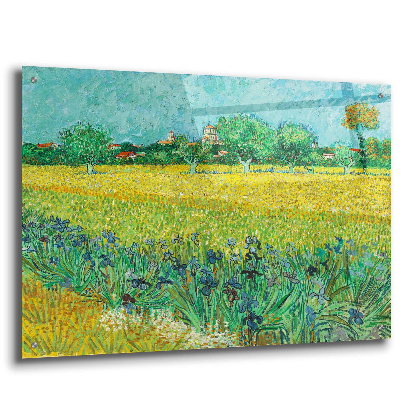 Epic Art 'Field With Irises Near Arles' by Vincent Van Gogh, Acrylic Glass Wall Art,36x24