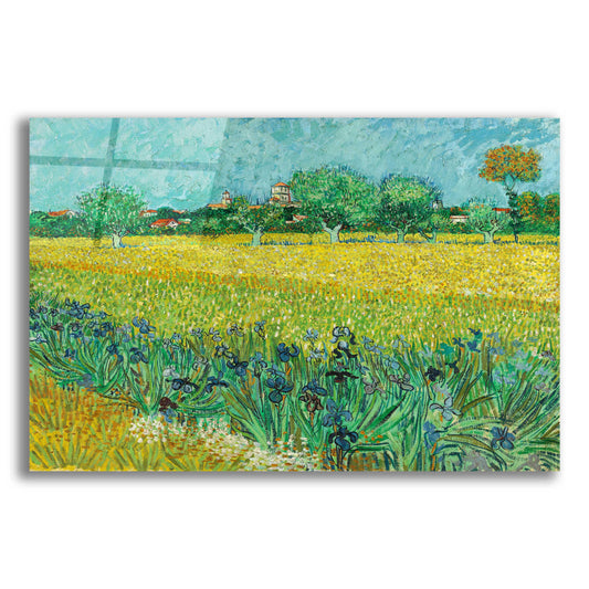 Epic Art 'Field With Irises Near Arles' by Vincent Van Gogh, Acrylic Glass Wall Art