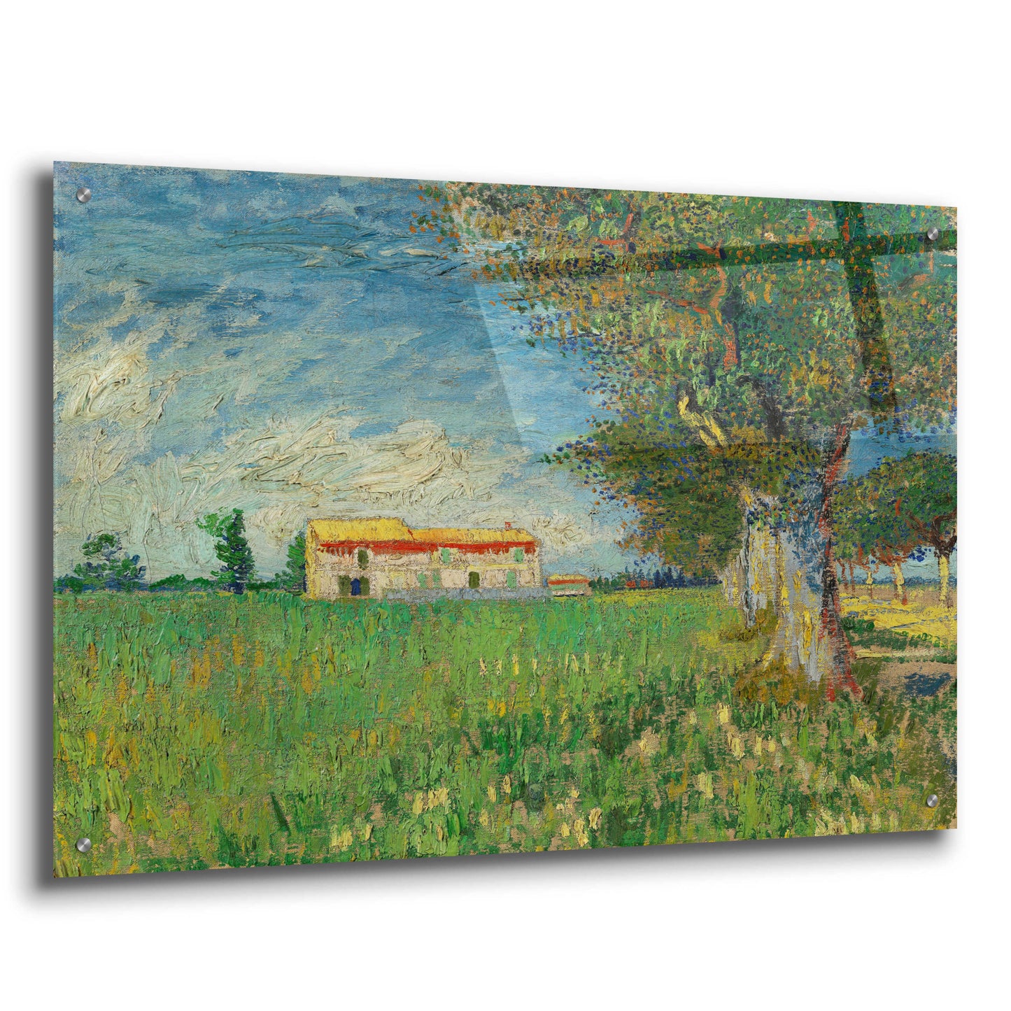 Epic Art 'Farmhouse In A Wheatfield' by Vincent Van Gogh, Acrylic Glass Wall Art,36x24
