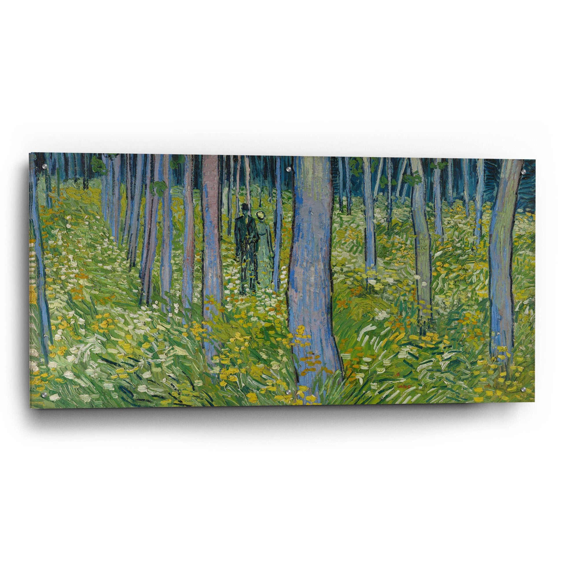 Epic Art 'Undergrowth With Two Figures' by Vincent Van Gogh, Acrylic Glass Wall Art,48x24
