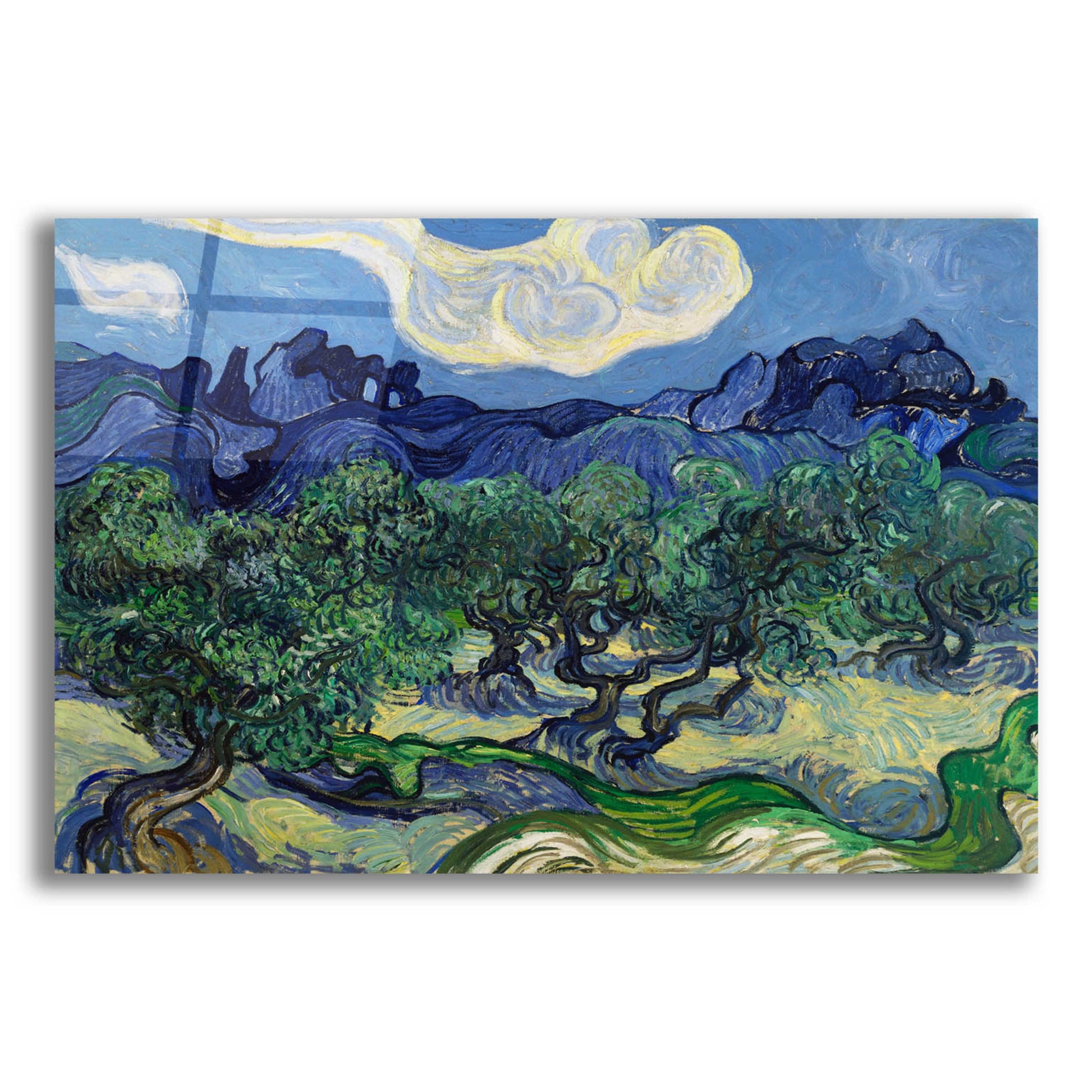 Epic Art 'The Olive Trees ' by Vincent Van Gogh, Acrylic Glass Wall Art,16x12