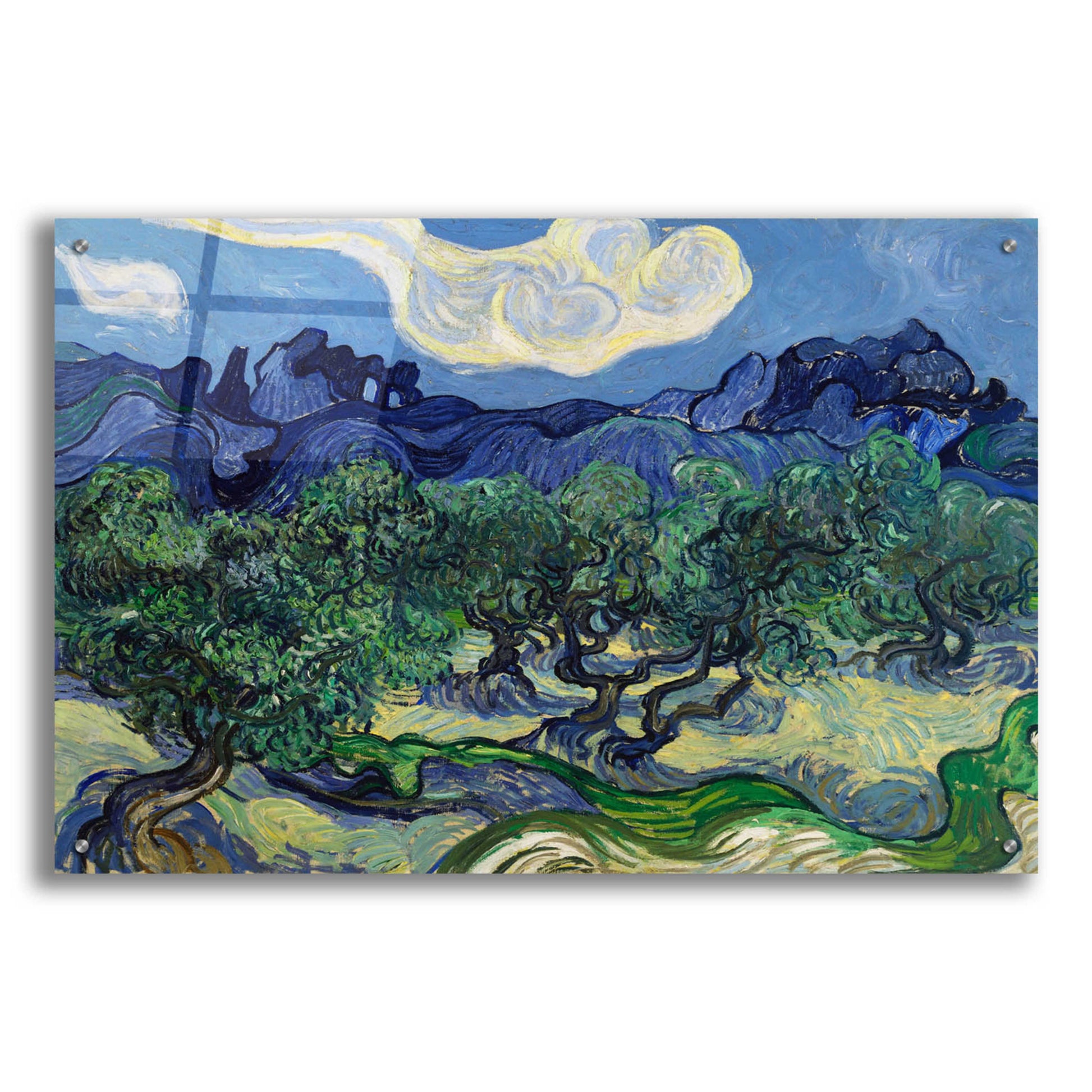 Epic Art 'The Olive Trees ' by Vincent Van Gogh, Acrylic Glass Wall Art,36x24