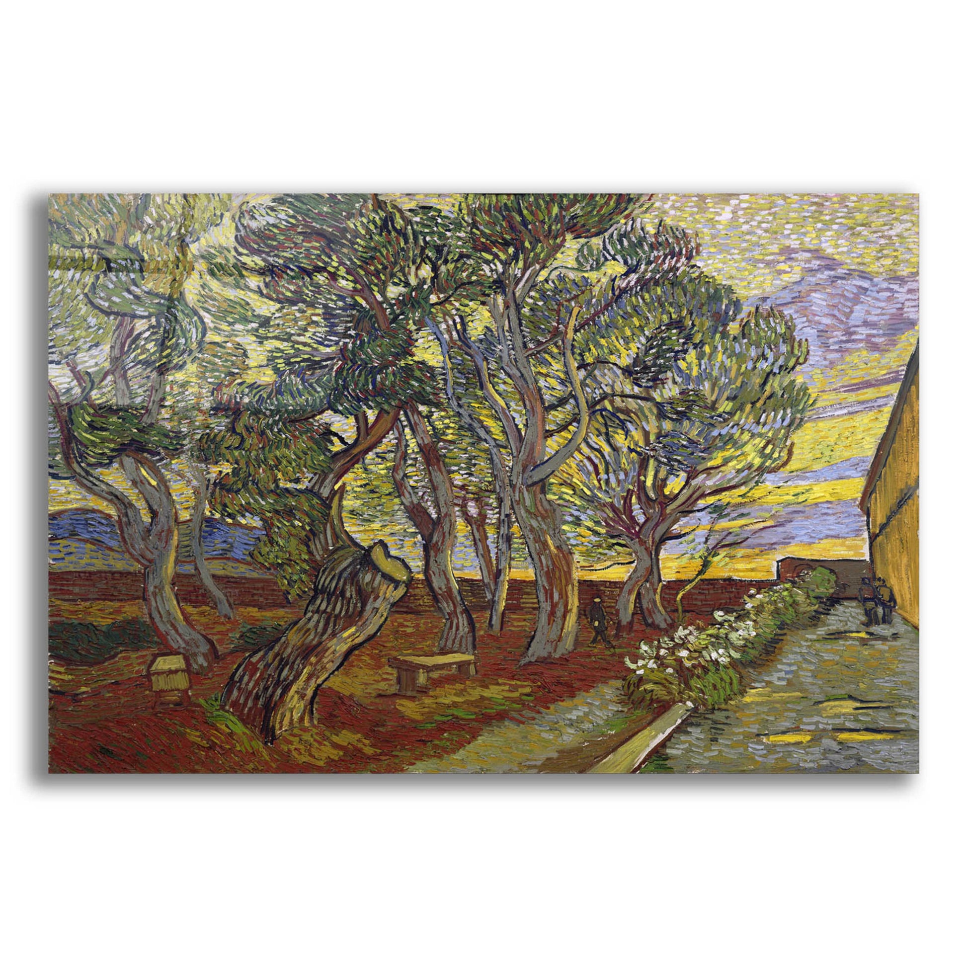 Epic Art 'The Garden Of Saint Paul's Hospital' by Vincent Van Gogh, Acrylic Glass Wall Art,24x16