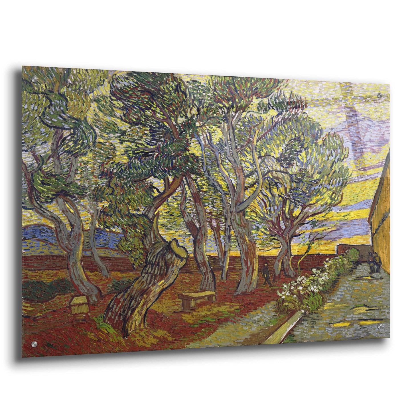 Epic Art 'The Garden Of Saint Paul's Hospital' by Vincent Van Gogh, Acrylic Glass Wall Art,36x24