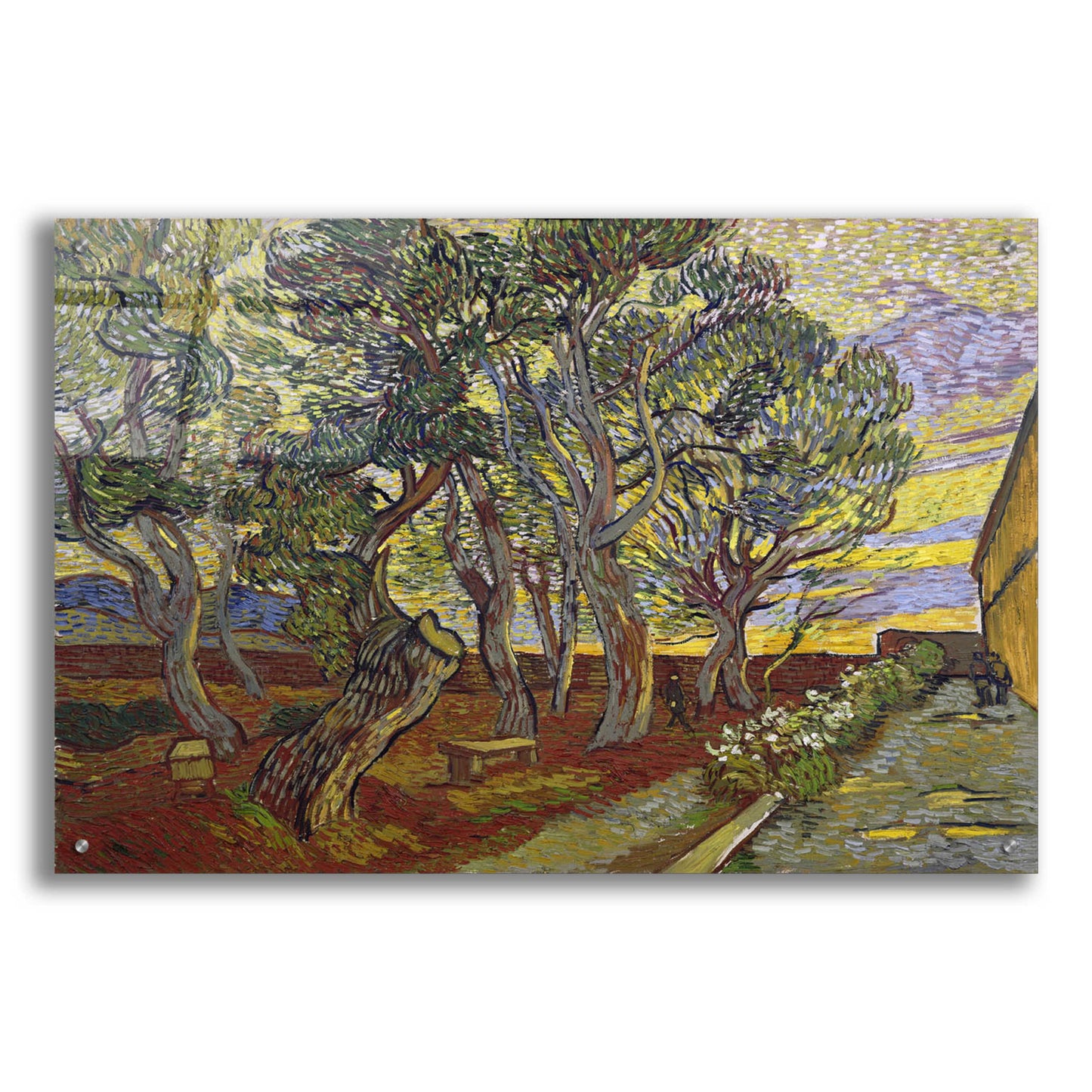 Epic Art 'The Garden Of Saint Paul's Hospital' by Vincent Van Gogh, Acrylic Glass Wall Art,36x24