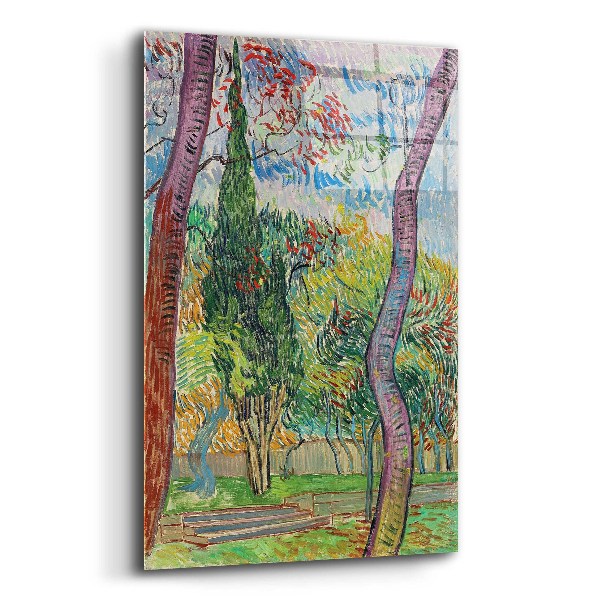 Epic Art 'Parc De L'Hôpital Saint-Paul ' by Vincent Van Gogh, Acrylic Glass Wall Art,12x16