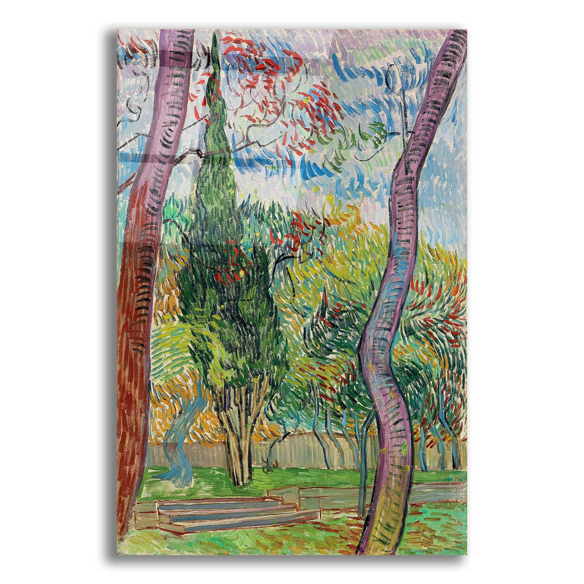 Epic Art 'Parc De L'Hôpital Saint-Paul ' by Vincent Van Gogh, Acrylic Glass Wall Art,12x16