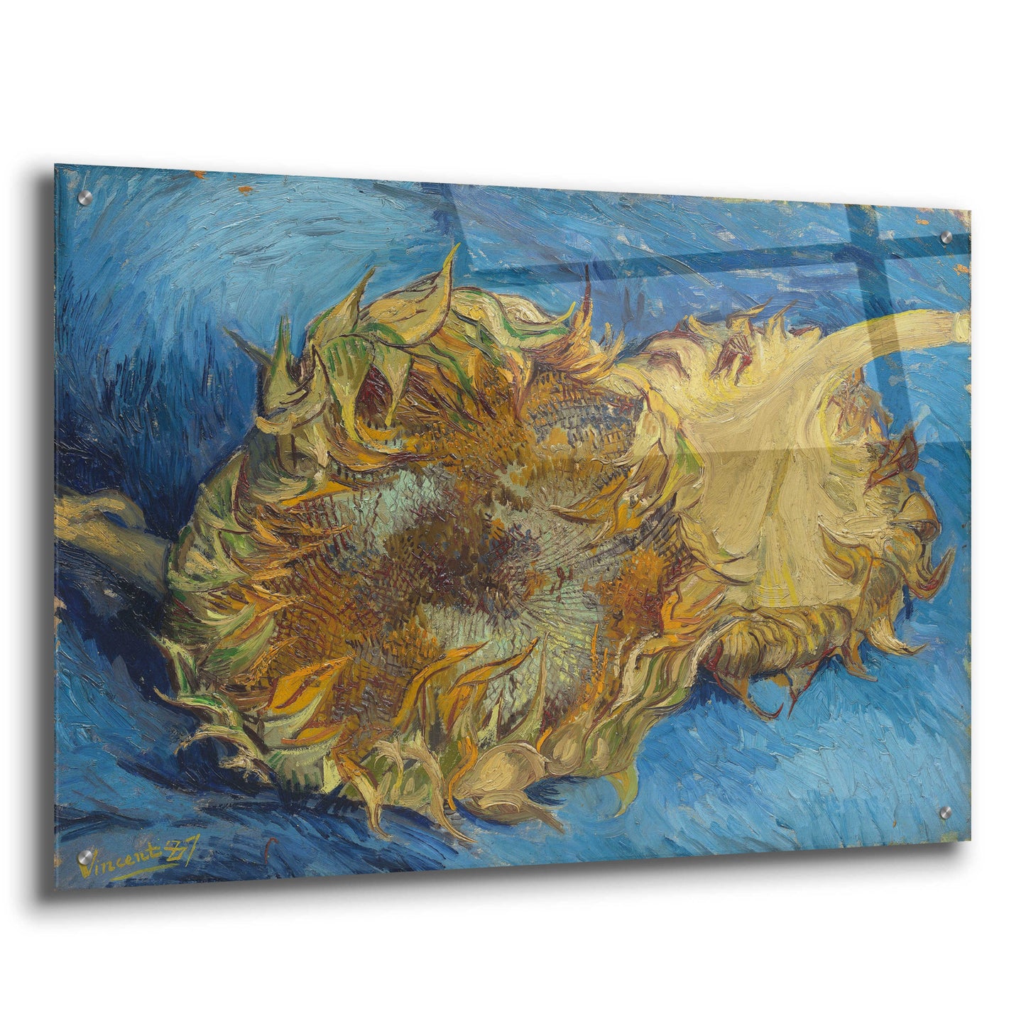 Epic Art 'Sunflowers 1887' by Vincent Van Gogh, Acrylic Glass Wall Art,36x24