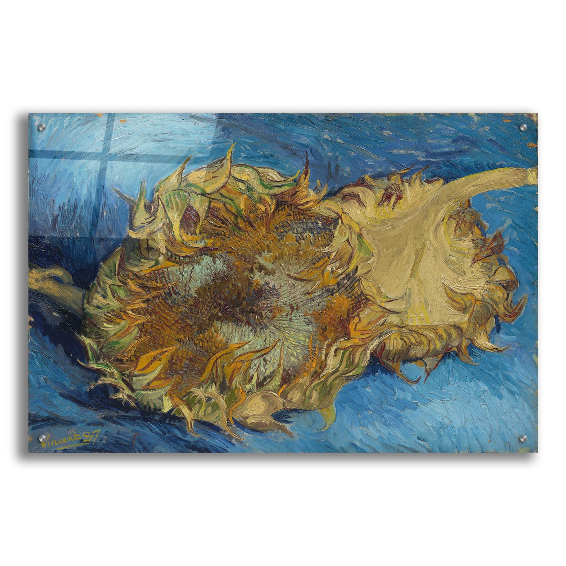 Epic Art 'Sunflowers 1887' by Vincent Van Gogh, Acrylic Glass Wall Art,36x24