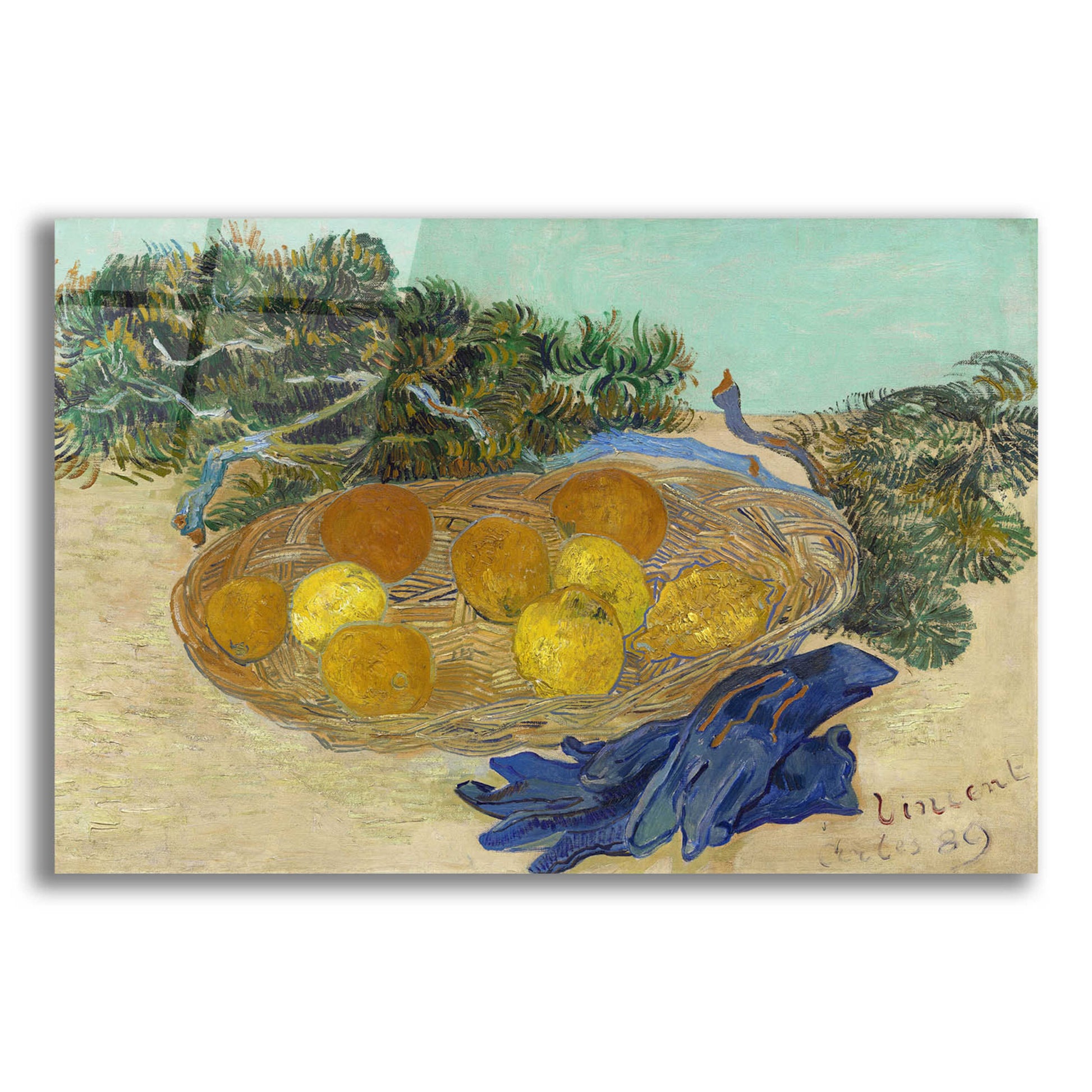 Epic Art 'Still Life Of Oranges And Lemons With Blue Gloves' by Vincent Van Gogh, Acrylic Glass Wall Art,16x12