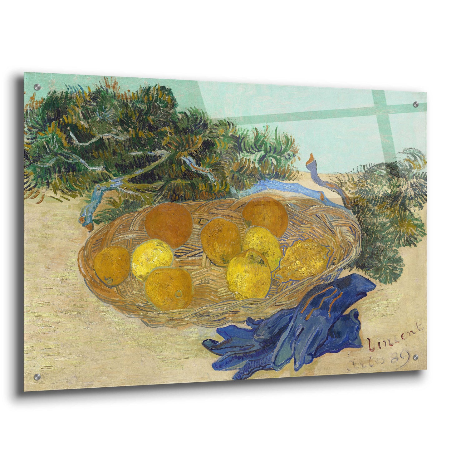 Epic Art 'Still Life Of Oranges And Lemons With Blue Gloves' by Vincent Van Gogh, Acrylic Glass Wall Art,36x24