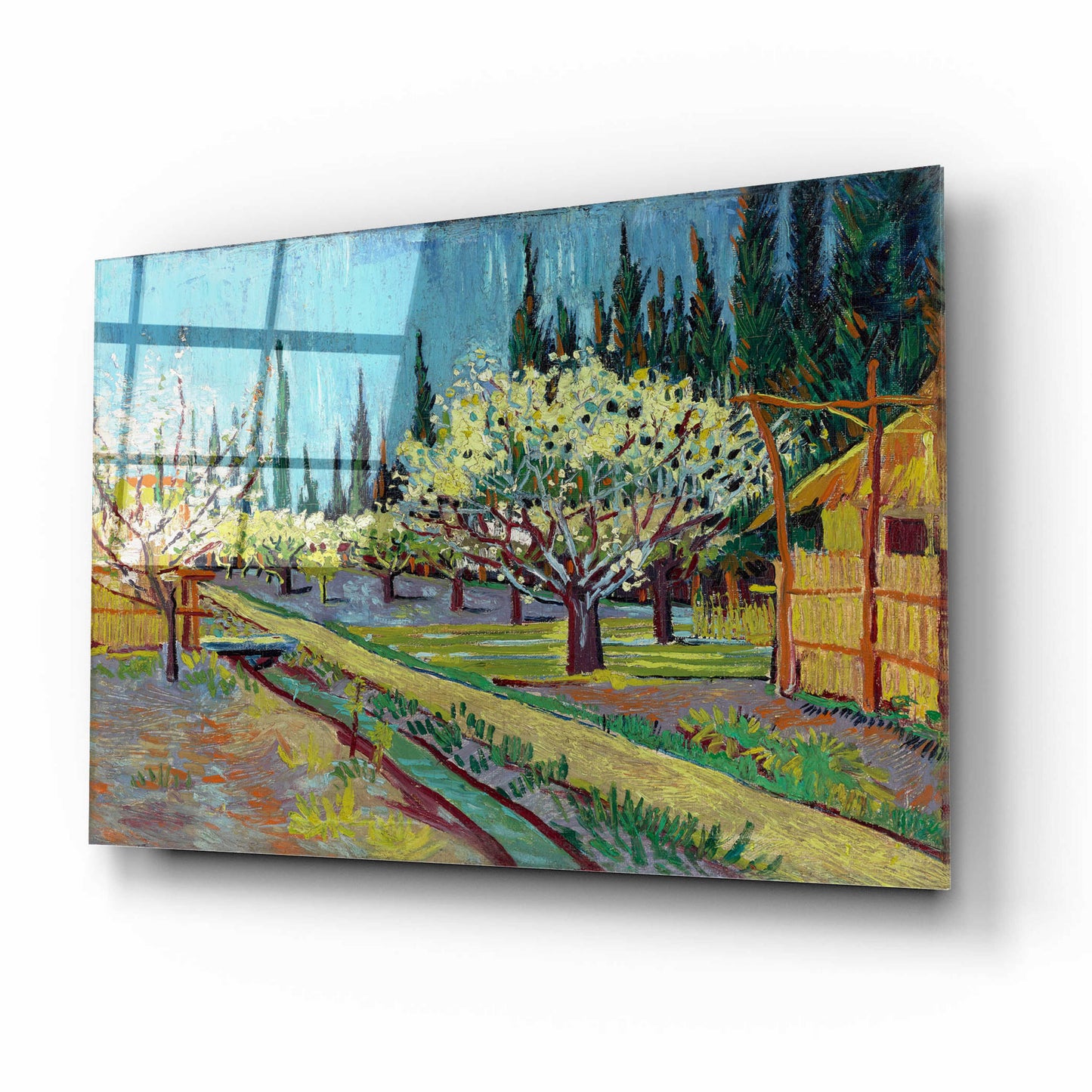 Epic Art 'Orchard Bordered By Cypresses' by Vincent Van Gogh, Acrylic Glass Wall Art,16x12