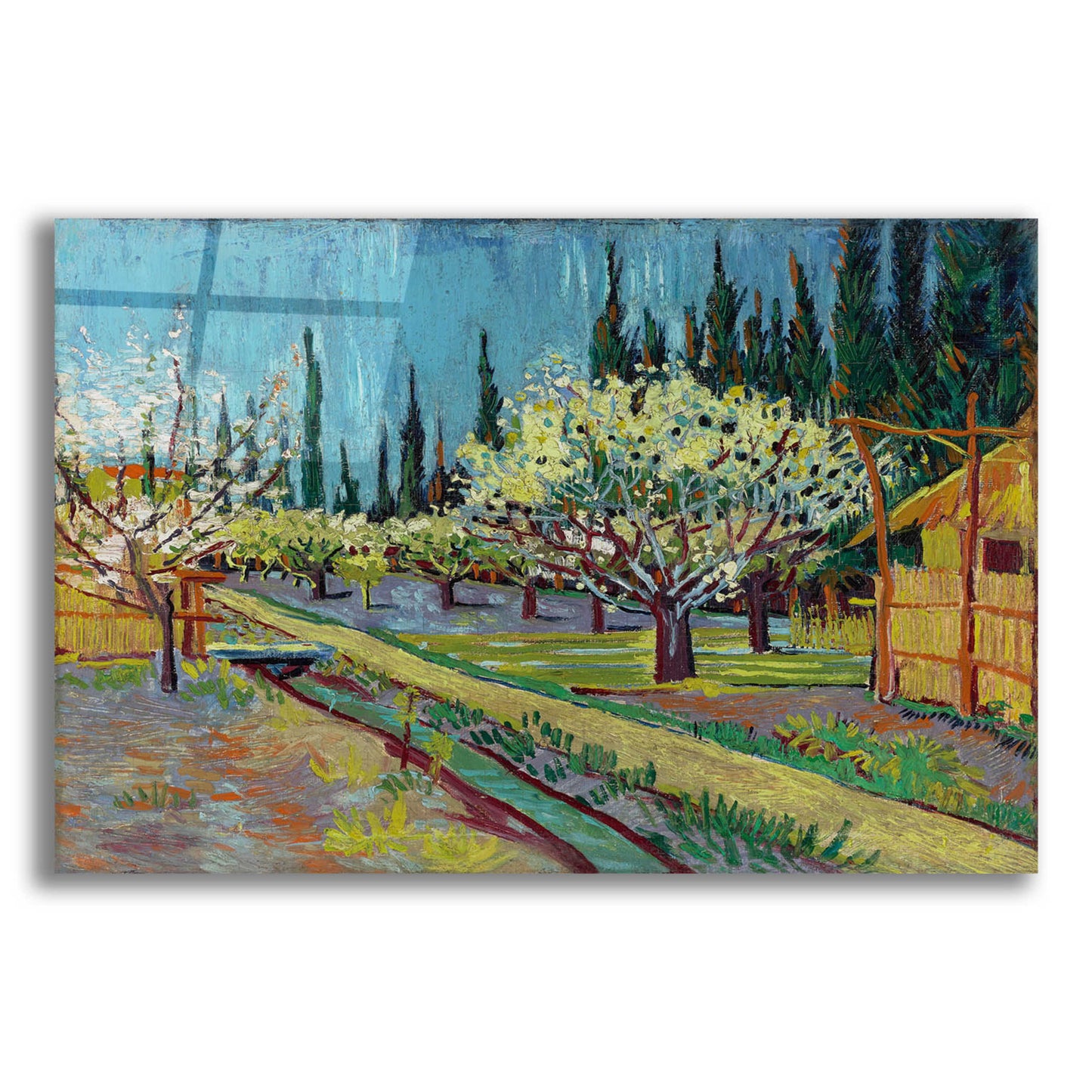 Epic Art 'Orchard Bordered By Cypresses' by Vincent Van Gogh, Acrylic Glass Wall Art,16x12