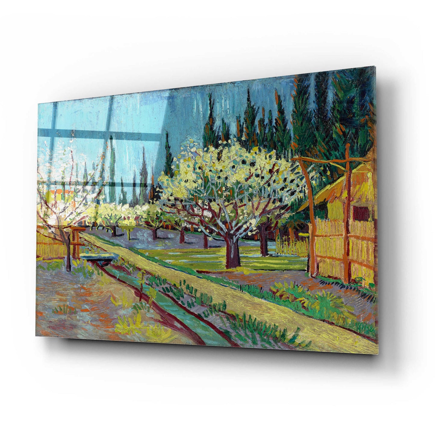 Epic Art 'Orchard Bordered By Cypresses' by Vincent Van Gogh, Acrylic Glass Wall Art,24x16