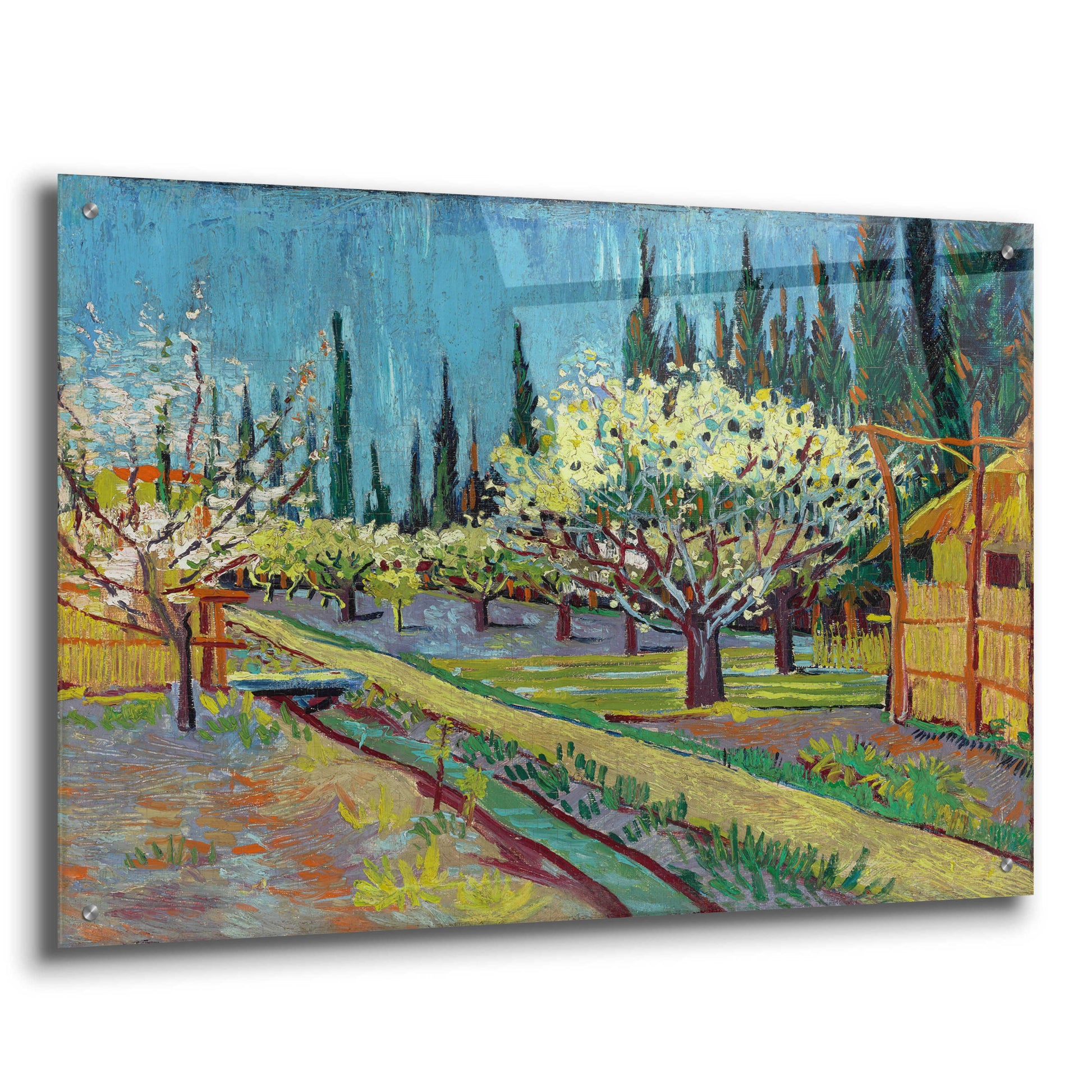 Epic Art 'Orchard Bordered By Cypresses' by Vincent Van Gogh, Acrylic Glass Wall Art,36x24