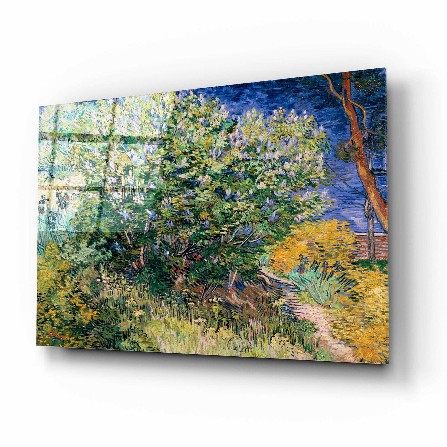 Epic Art 'Lilac Bush' by Vincent Van Gogh, Acrylic Glass Wall Art,16x12