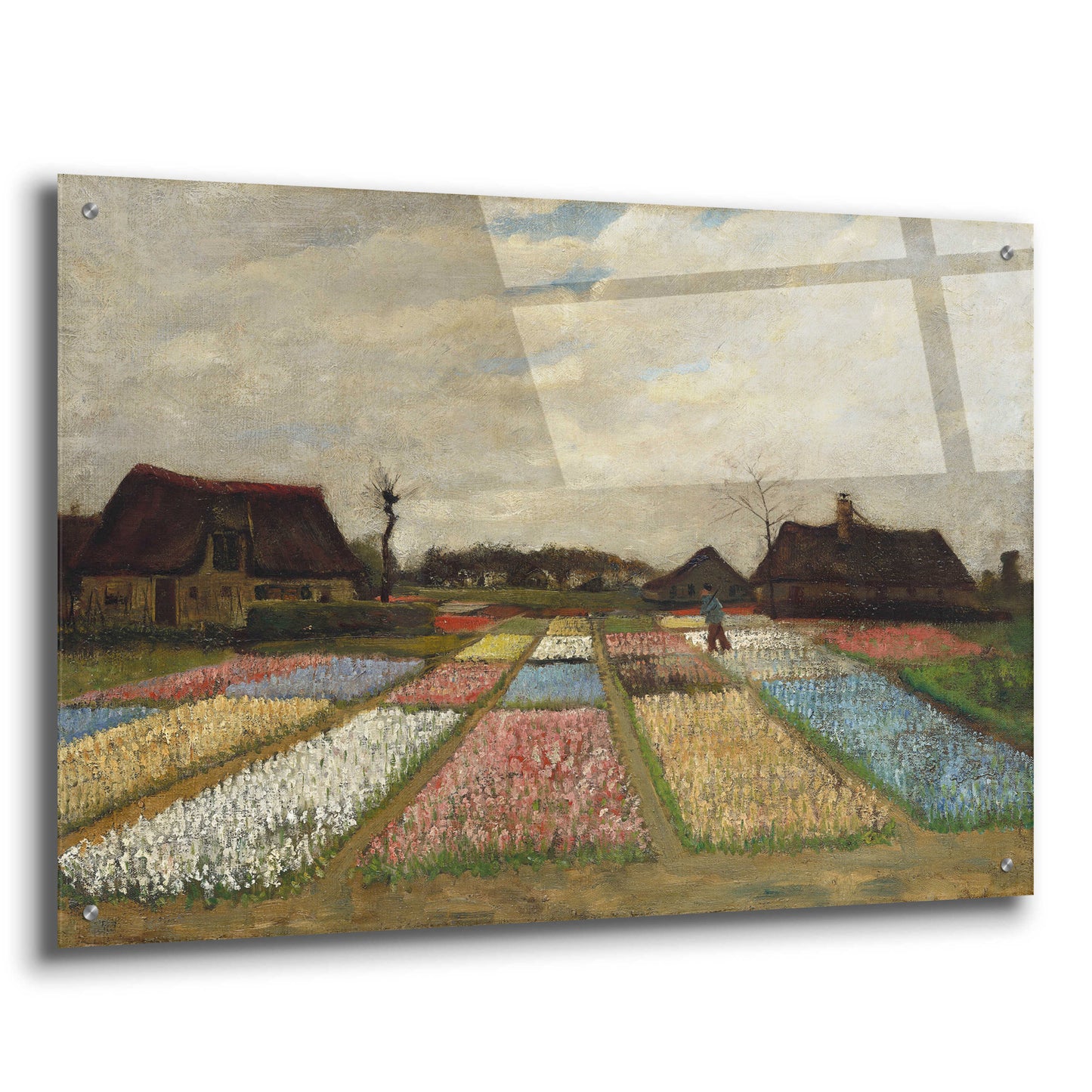 Epic Art 'Flower Beds In Holland' by Vincent Van Gogh, Acrylic Glass Wall Art,36x24