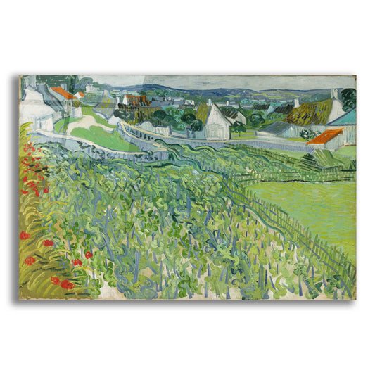Epic Art 'Vineyards At Auvers' by Vincent Van Gogh, Acrylic Glass Wall Art