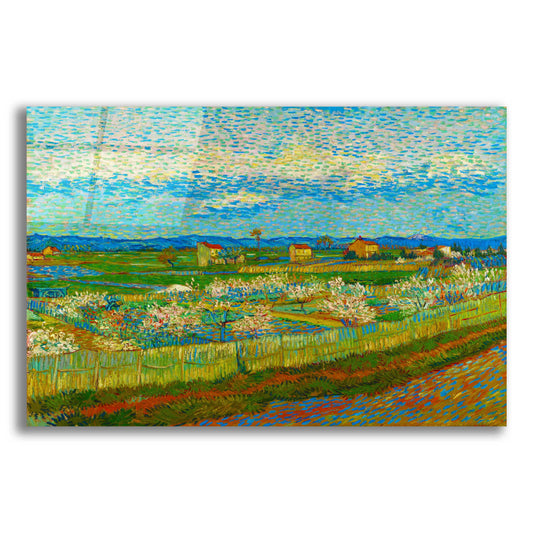 Epic Art 'Peach Trees In Blossom' by Vincent Van Gogh, Acrylic Glass Wall Art