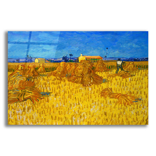 Epic Art 'Corn Harvest In Provence' by Vincent Van Gogh, Acrylic Glass Wall Art