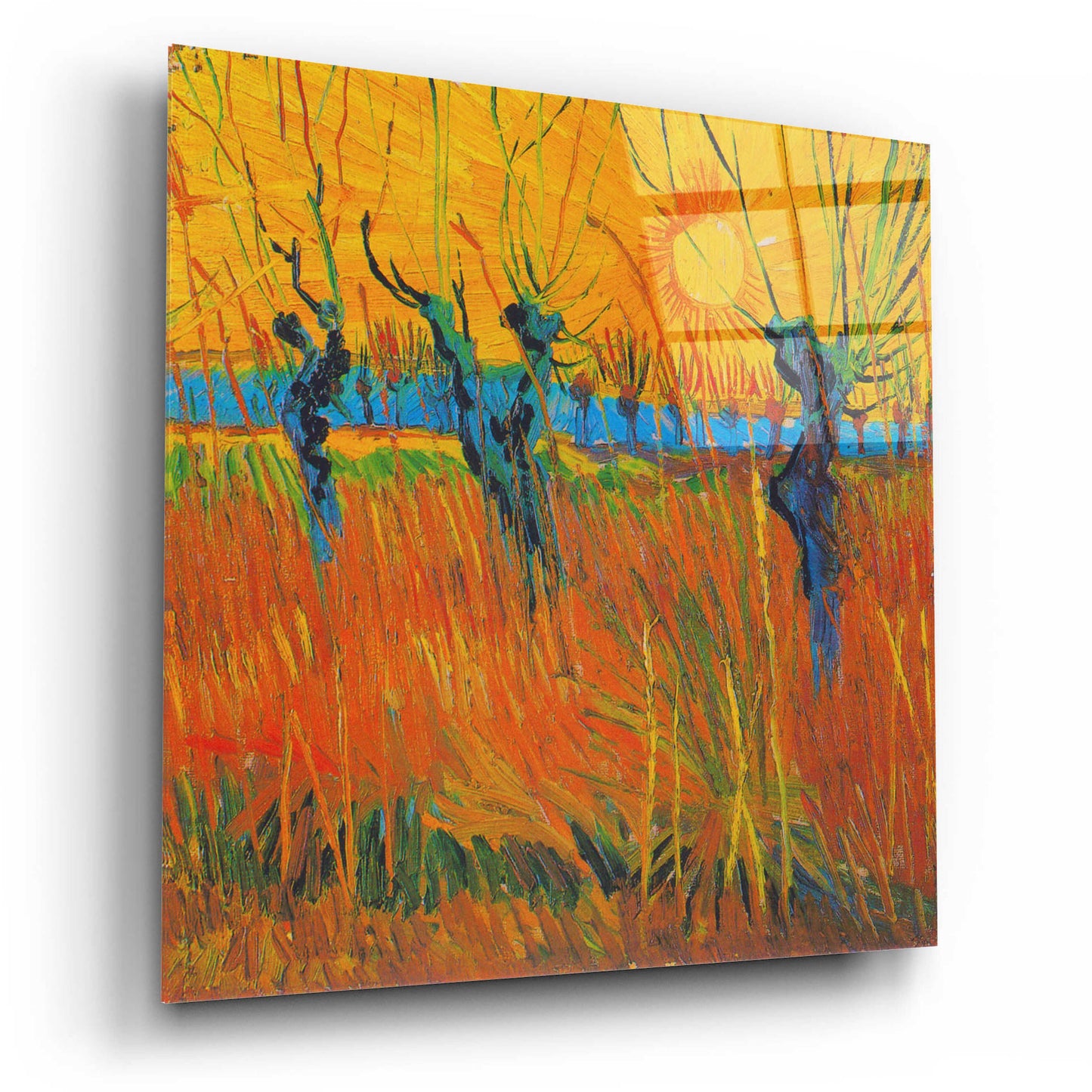 Epic Art 'Willows At Sunset' by Vincent Van Gogh, Acrylic Glass Wall Art,12x12