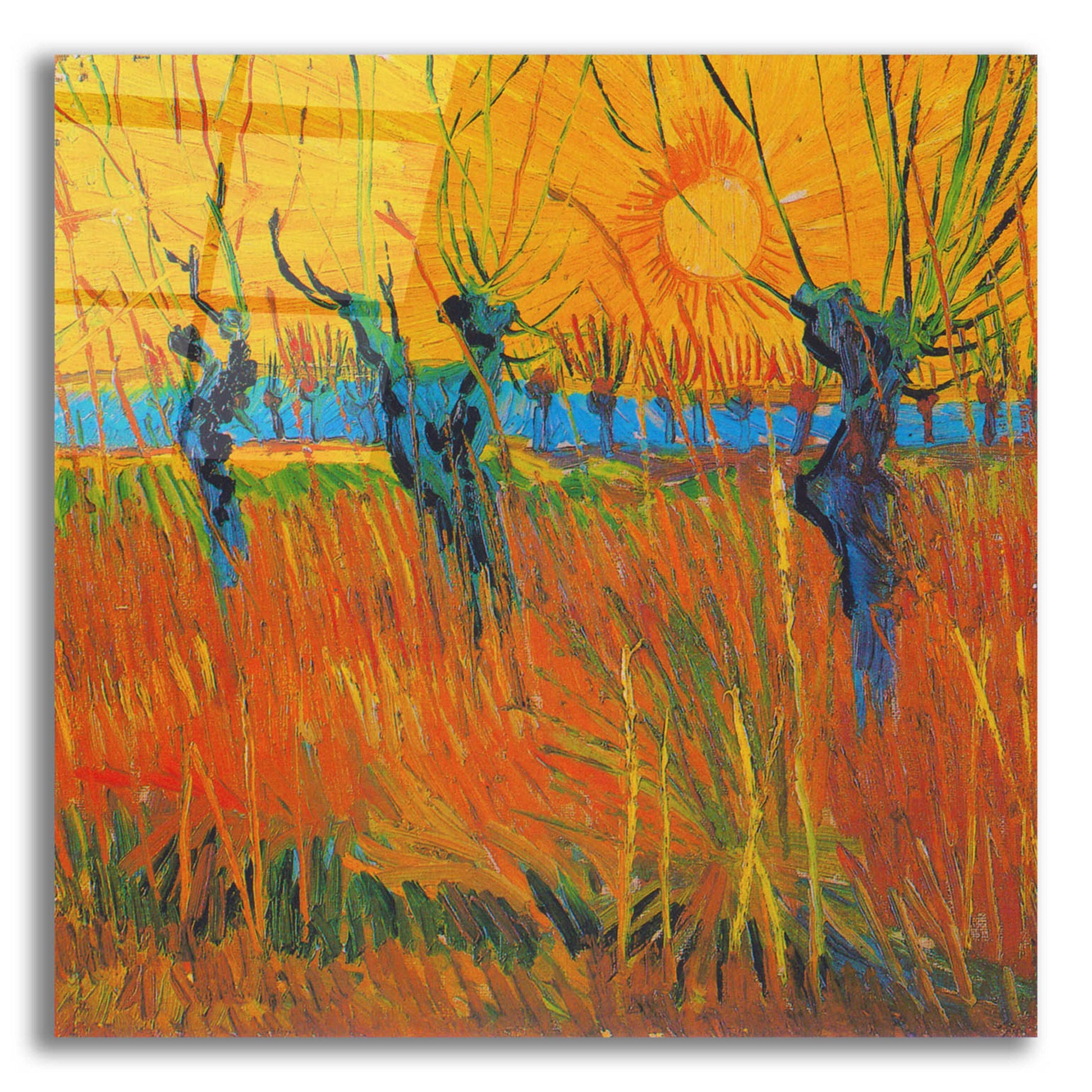 Epic Art 'Willows At Sunset' by Vincent Van Gogh, Acrylic Glass Wall Art,12x12