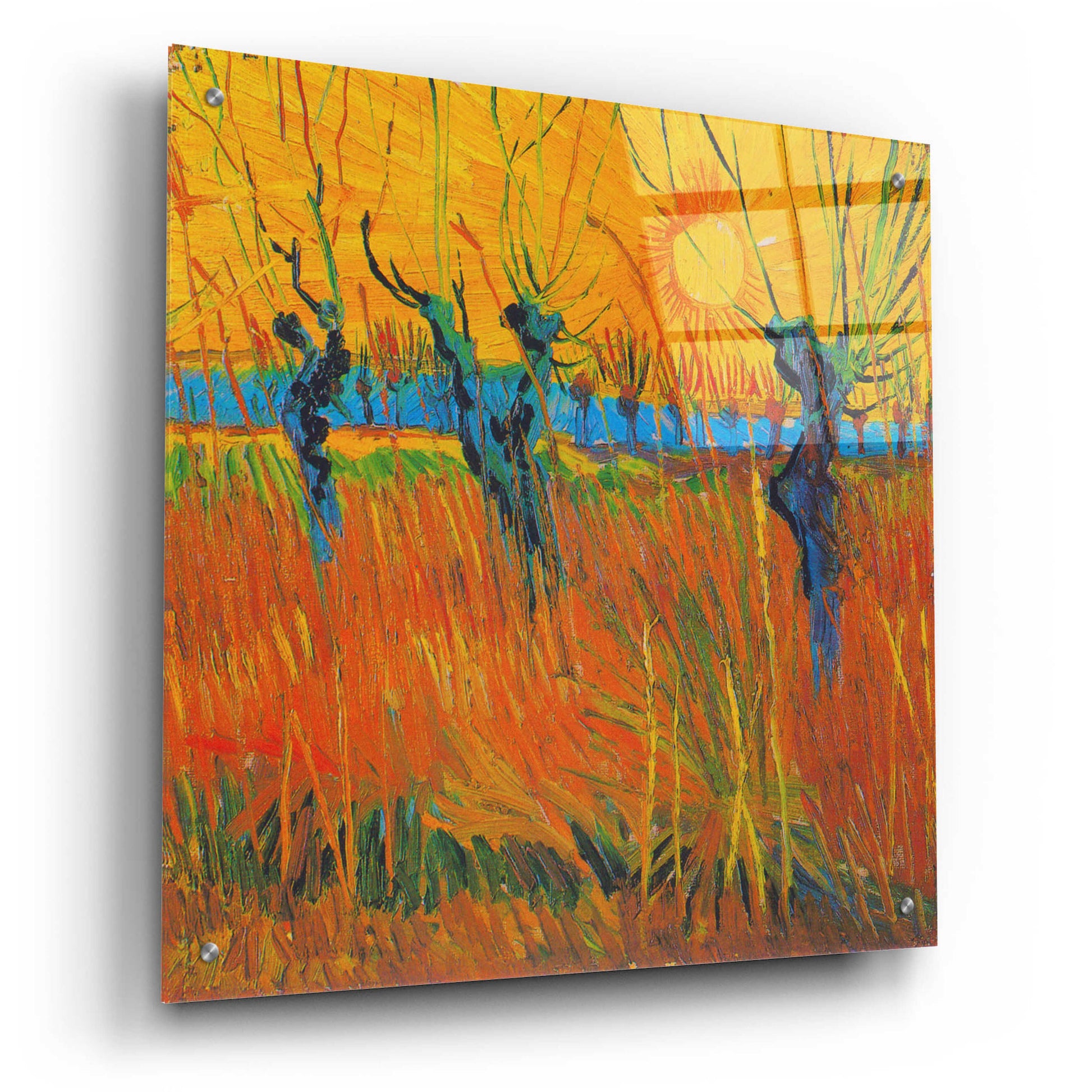 Epic Art 'Willows At Sunset' by Vincent Van Gogh, Acrylic Glass Wall Art,24x24