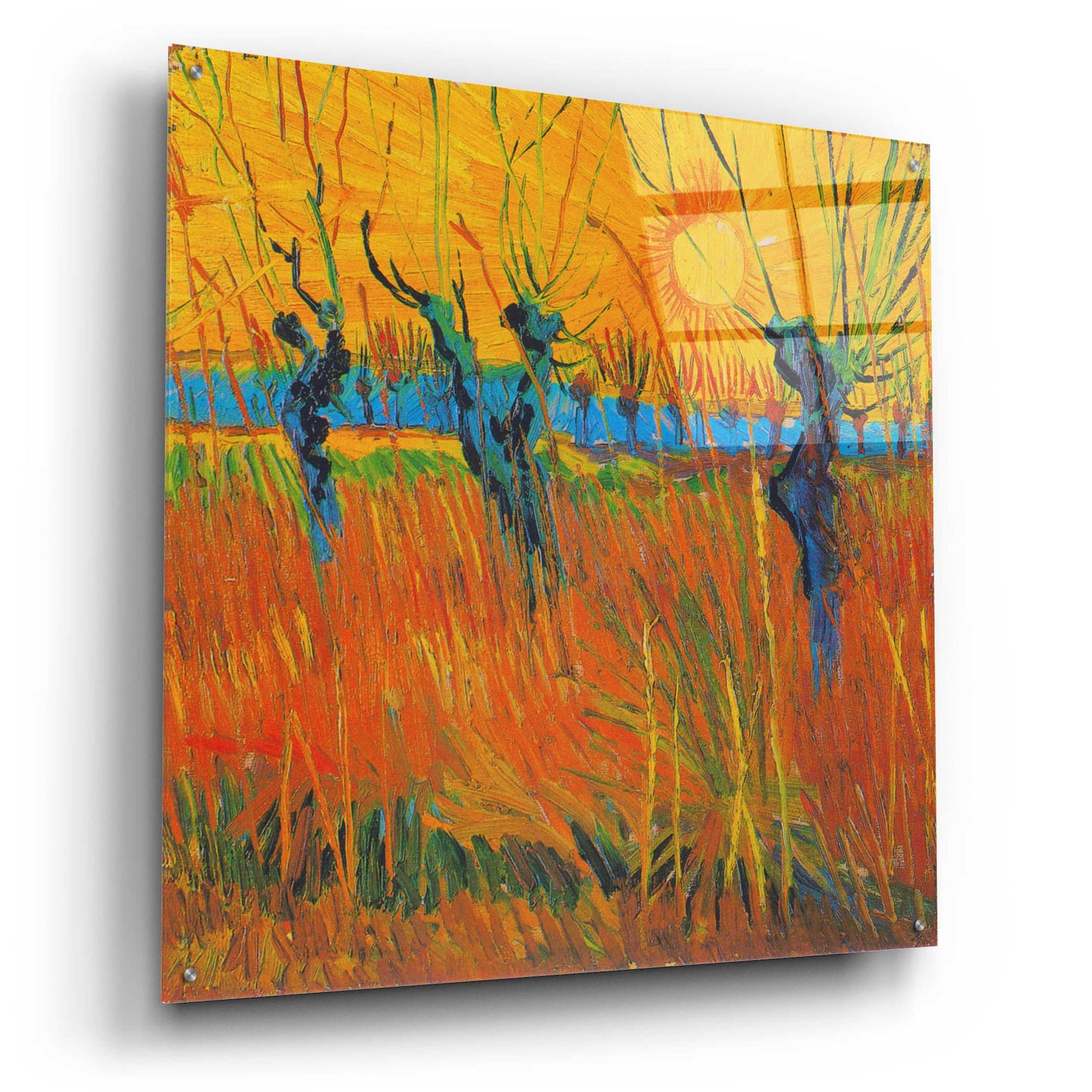 Epic Art 'Willows At Sunset' by Vincent Van Gogh, Acrylic Glass Wall Art,36x36