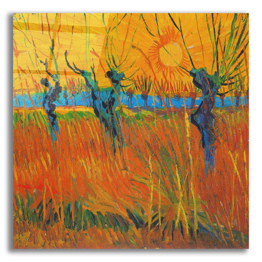 Epic Art 'Willows At Sunset' by Vincent Van Gogh, Acrylic Glass Wall Art