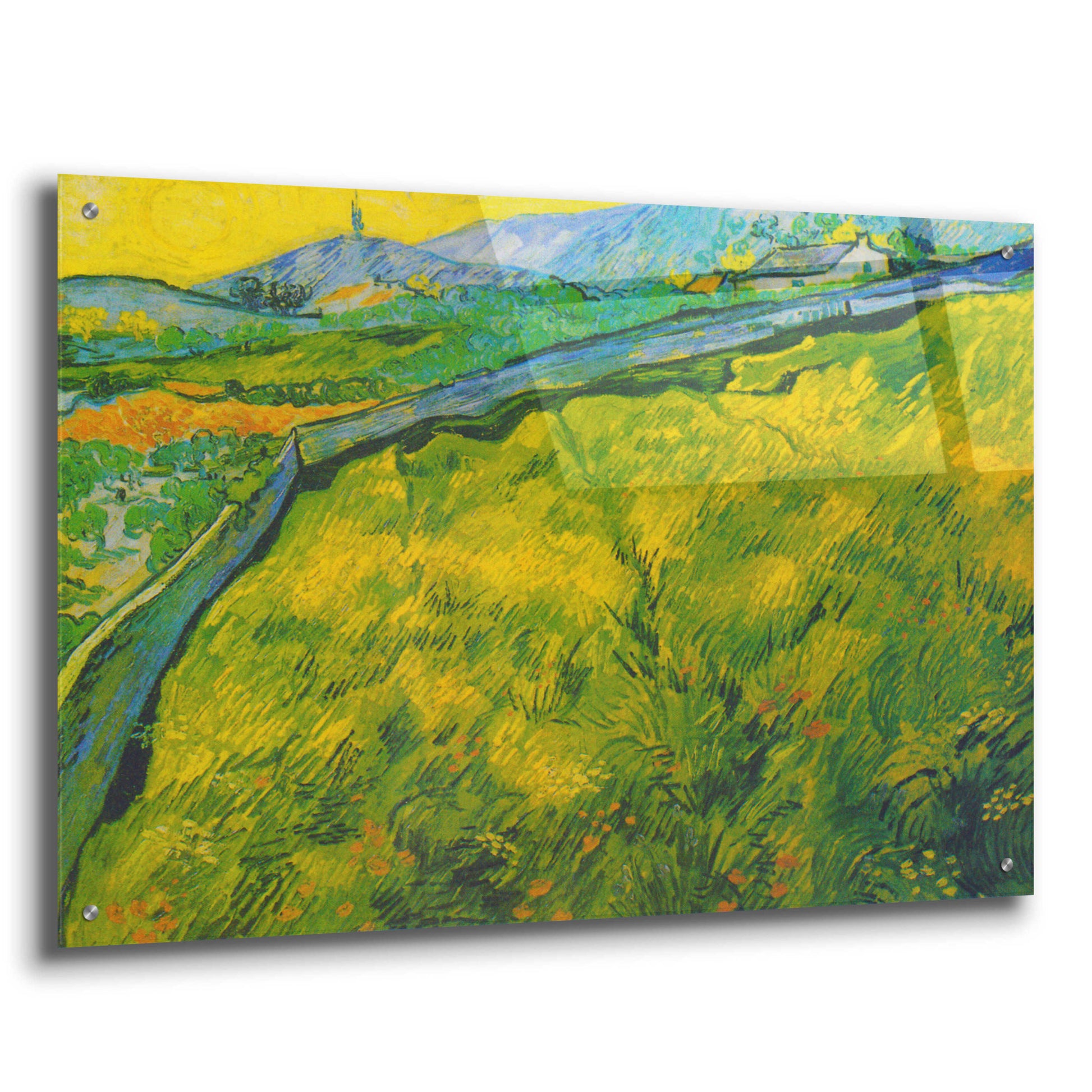 Epic Art 'Seed Field At Sunrise' by Vincent Van Gogh, Acrylic Glass Wall Art,36x24