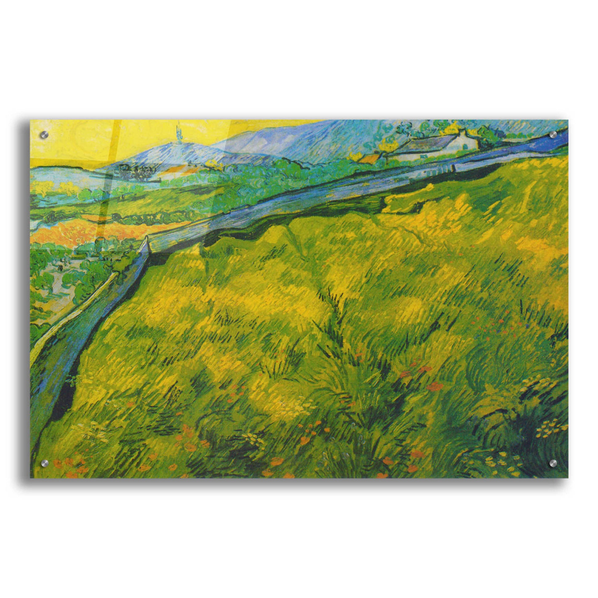 Epic Art 'Seed Field At Sunrise' by Vincent Van Gogh, Acrylic Glass Wall Art,36x24