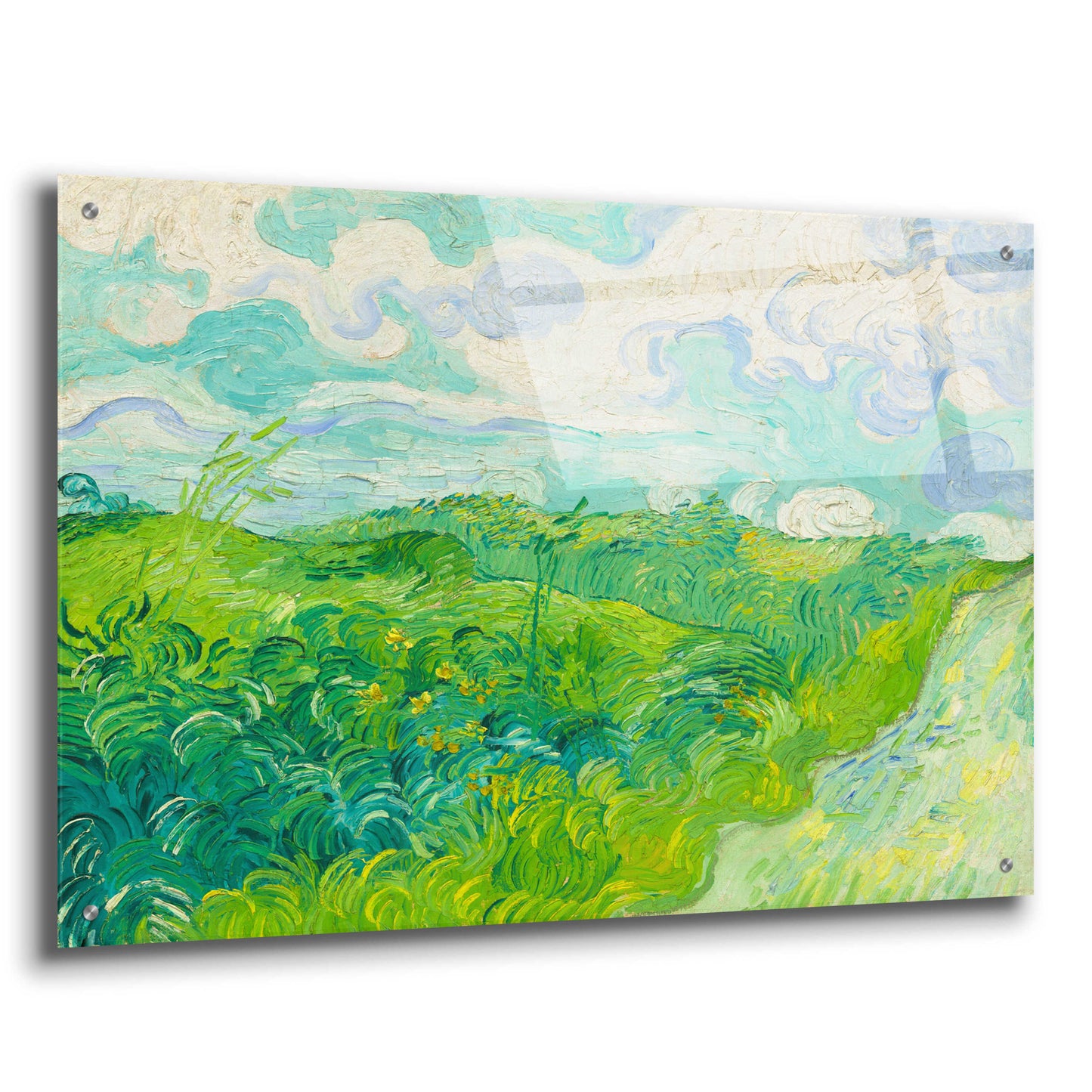 Epic Art 'Green Wheat Fields, Auvers' by Vincent Van Gogh, Acrylic Glass Wall Art,36x24