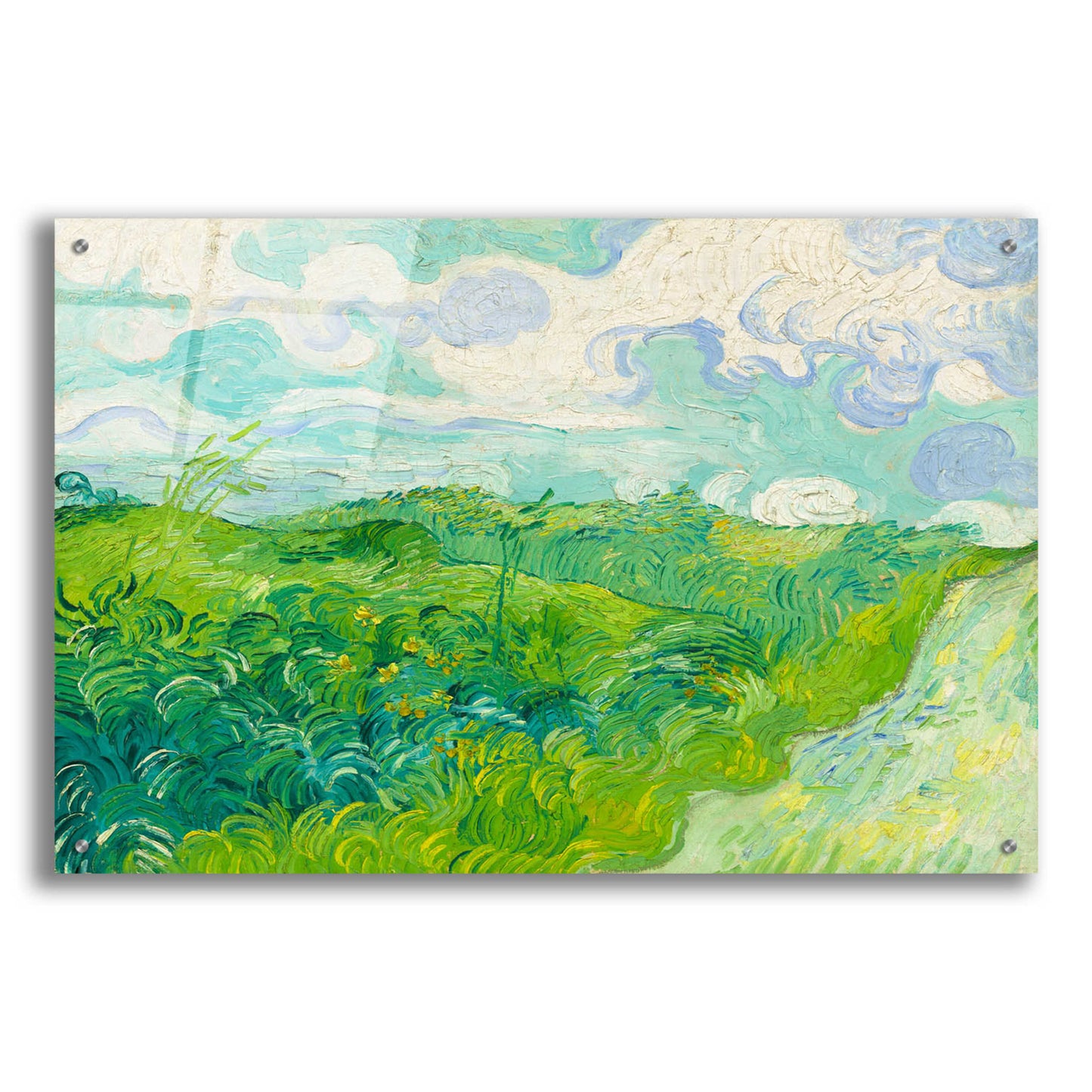 Epic Art 'Green Wheat Fields, Auvers' by Vincent Van Gogh, Acrylic Glass Wall Art,36x24