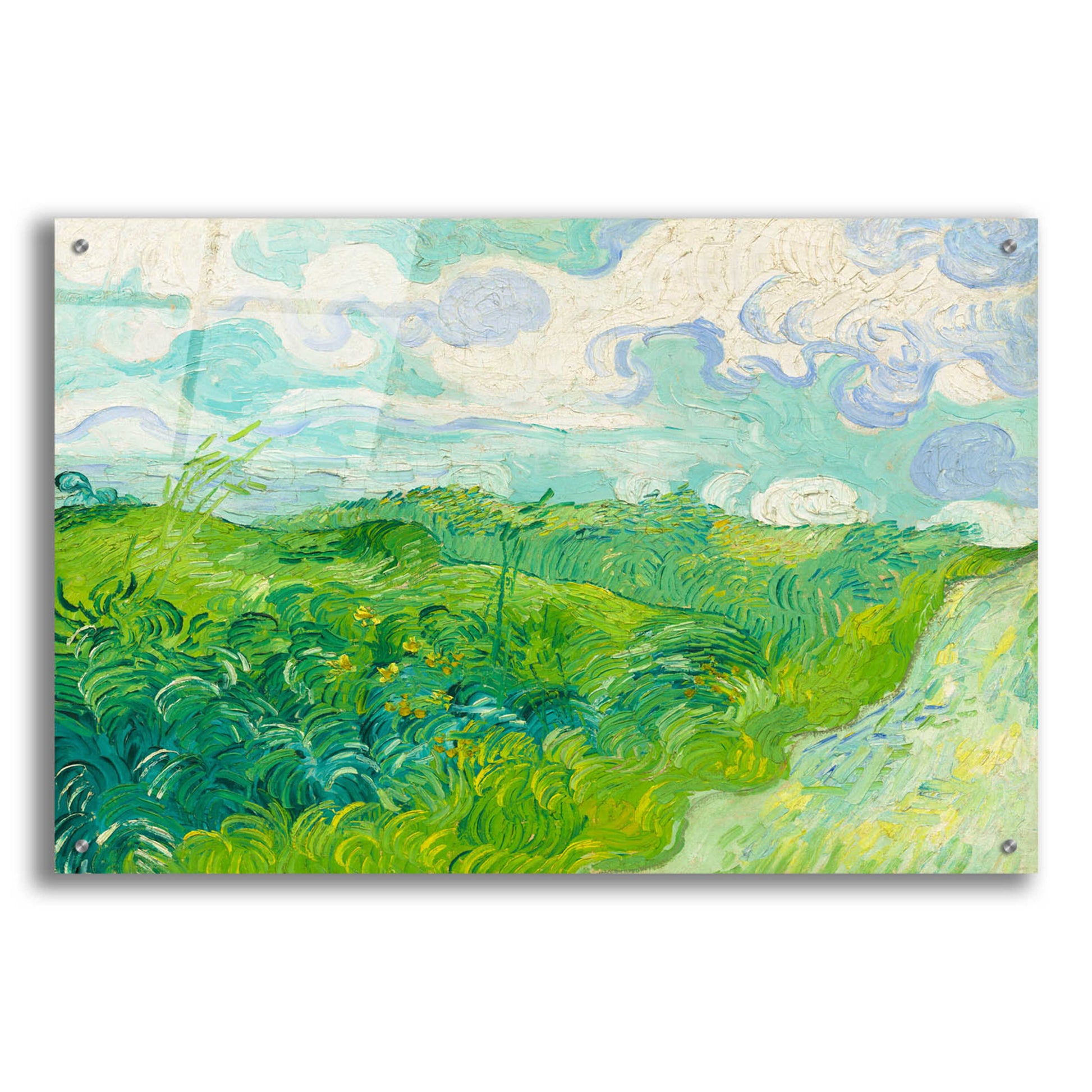 Epic Art 'Green Wheat Fields, Auvers' by Vincent Van Gogh, Acrylic Glass Wall Art,36x24