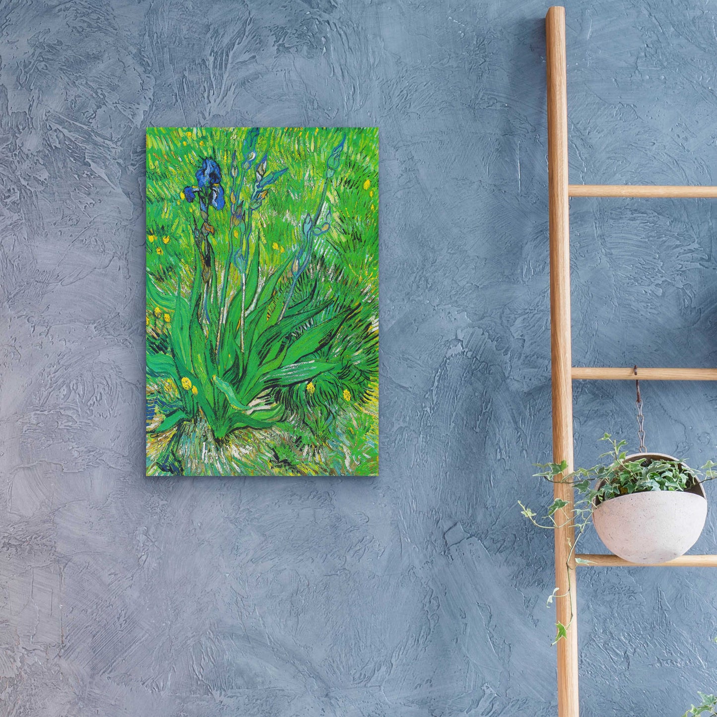 Epic Art 'Iris' by Vincent Van Gogh, Acrylic Glass Wall Art,16x24