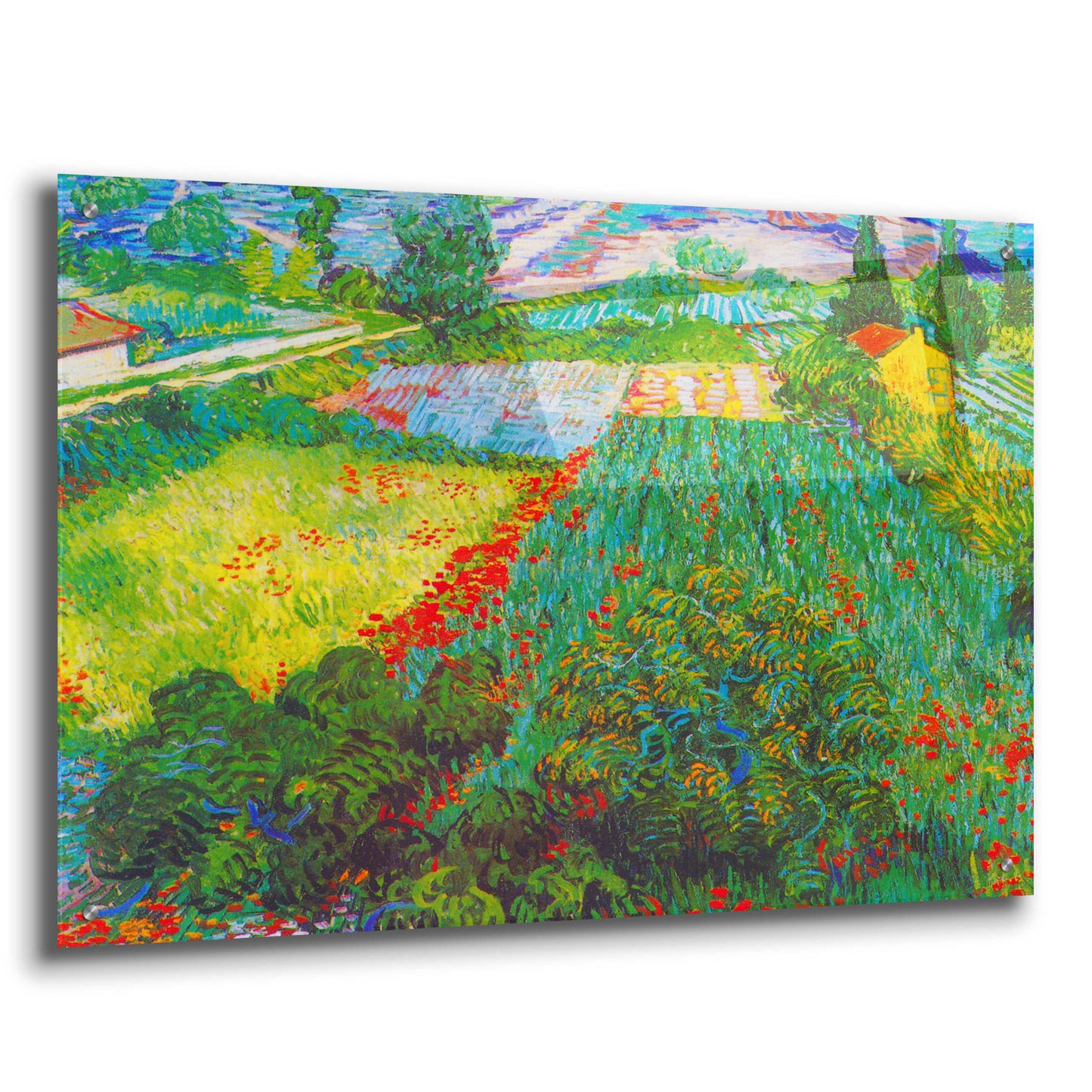 Epic Art 'Field With Poppies 2' by Vincent Van Gogh, Acrylic Glass Wall Art,36x24