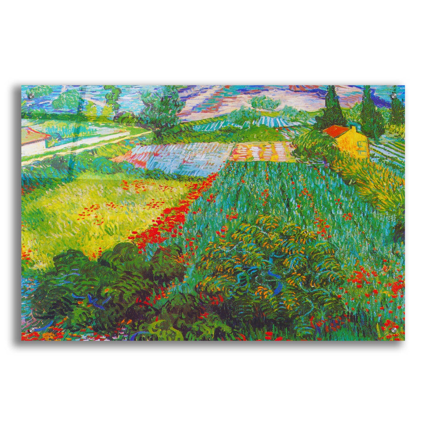 Epic Art 'Field With Poppies 2' by Vincent Van Gogh, Acrylic Glass Wall Art,36x24