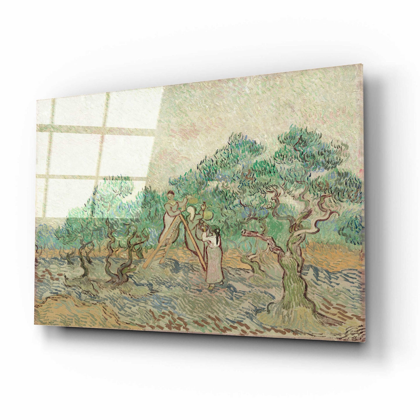 Epic Art 'The Olive Orchard' by Vincent Van Gogh, Acrylic Glass Wall Art,16x12