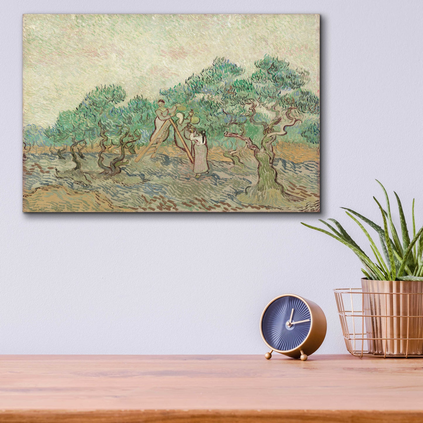 Epic Art 'The Olive Orchard' by Vincent Van Gogh, Acrylic Glass Wall Art,16x12