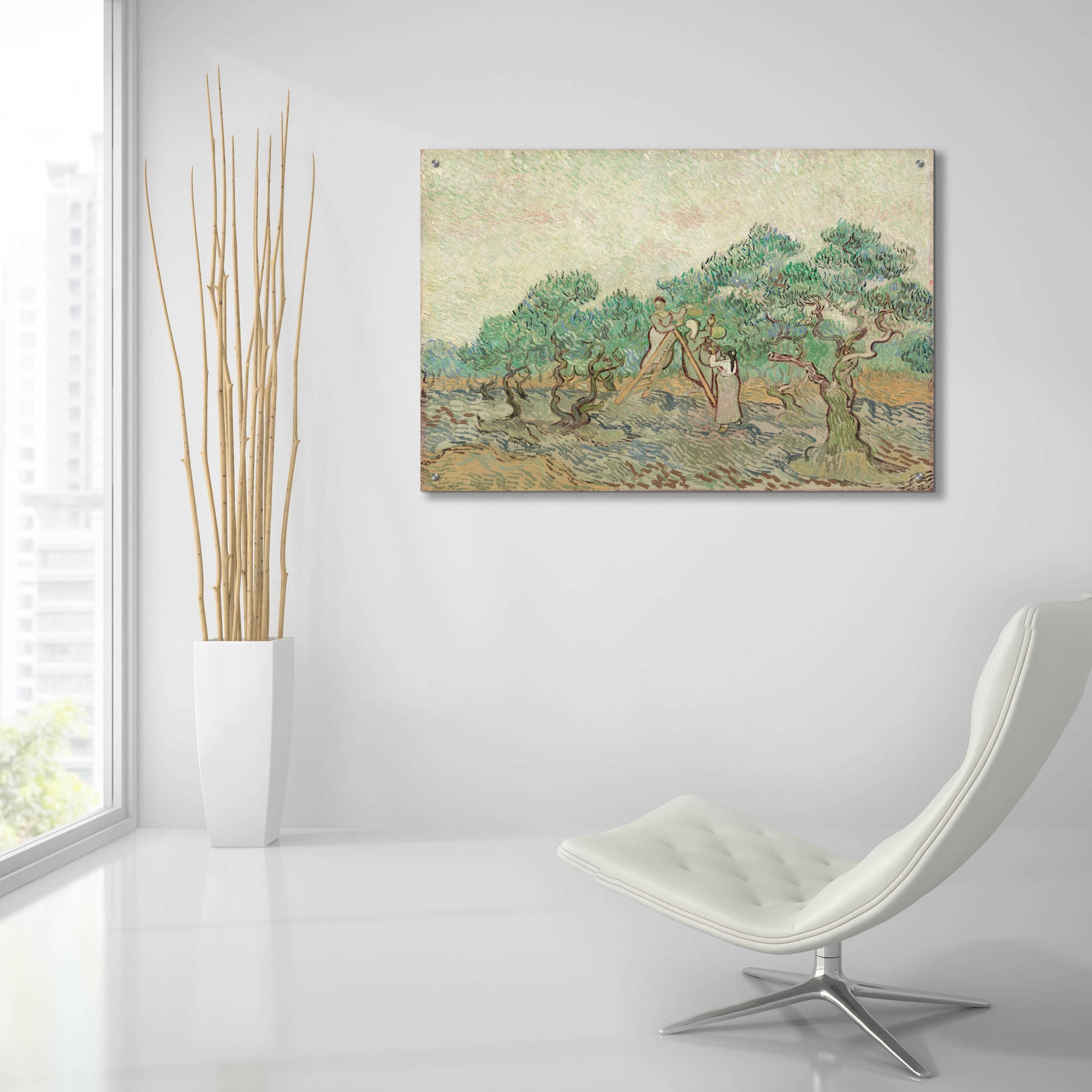 Epic Art 'The Olive Orchard' by Vincent Van Gogh, Acrylic Glass Wall Art,36x24