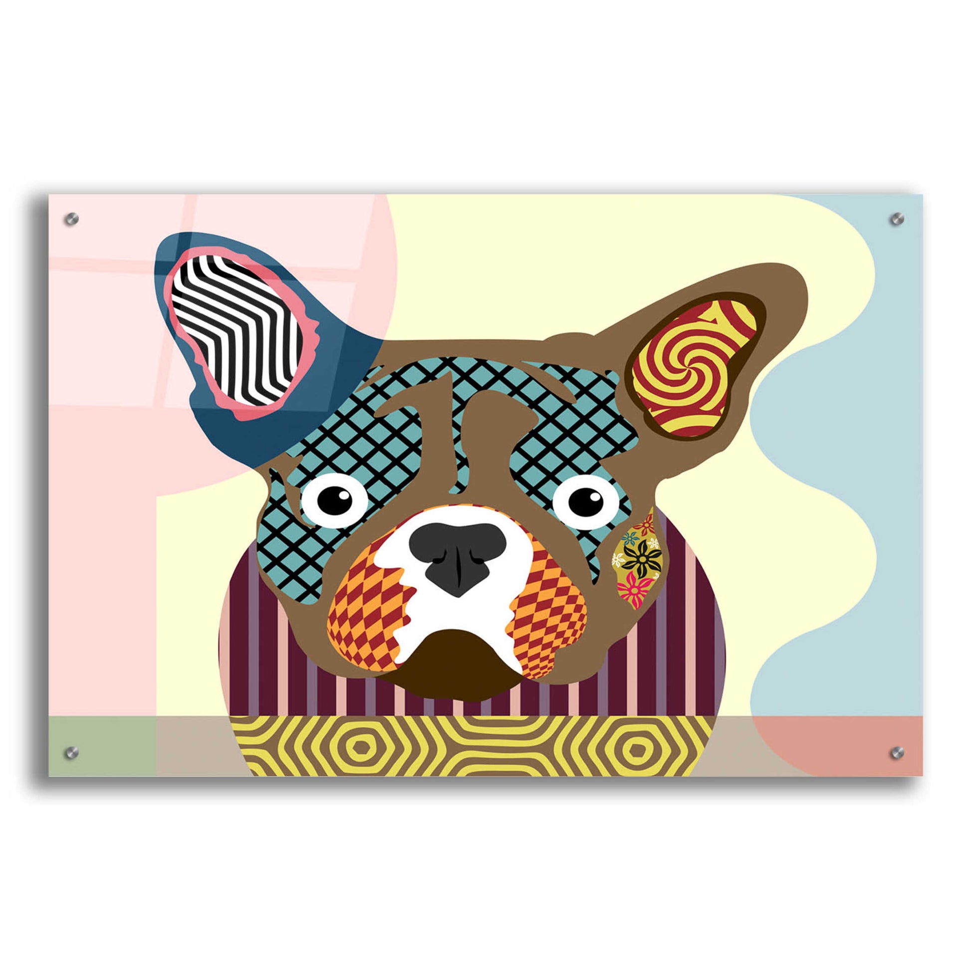 Epic Art 'French Bulldog' by Lanre Adefioyue, Acrylic Glass Wall Art,36x24