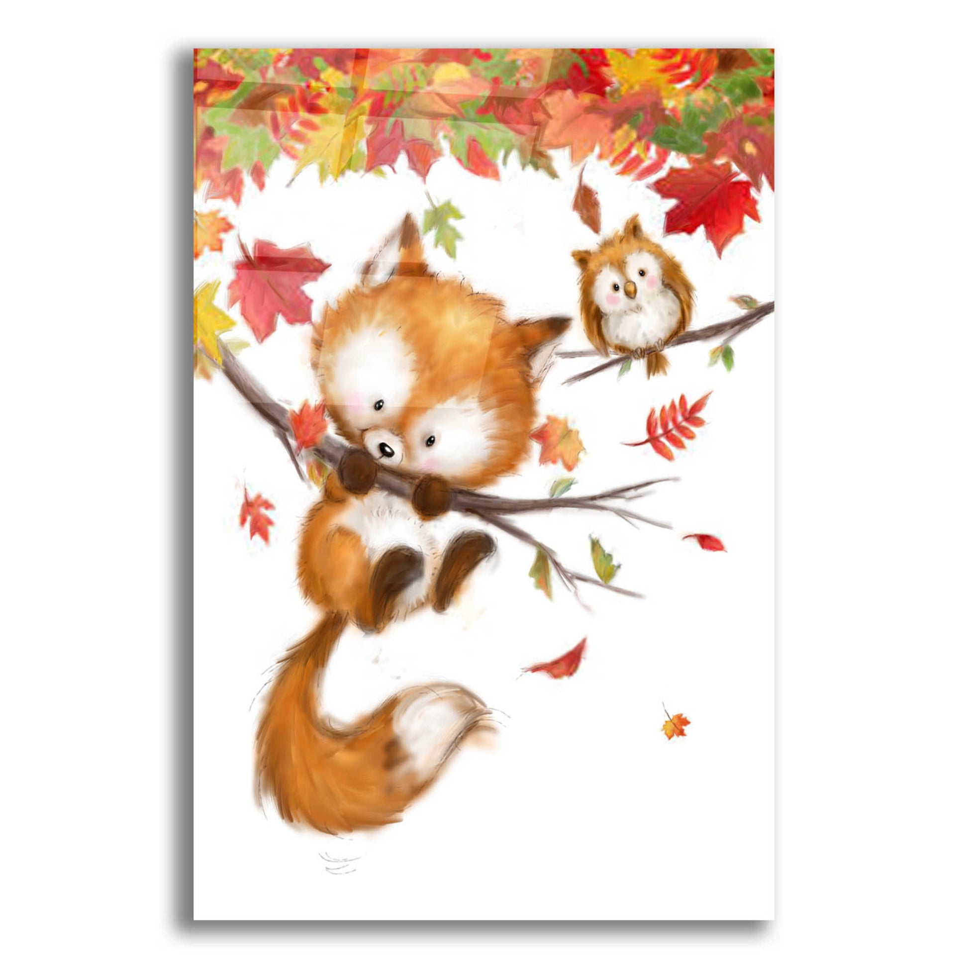 Epic Art 'Fox and Owl' by Makiko, Acrylic Glass Wall Art,12x16